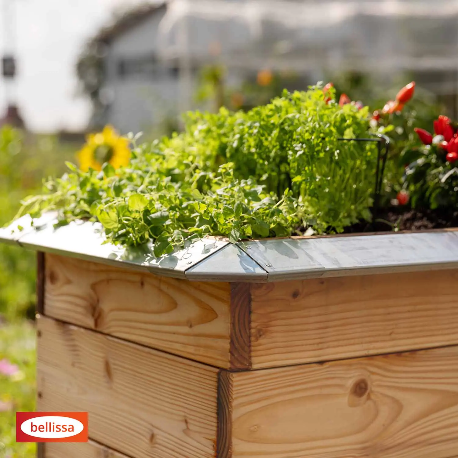 bellissa Schneckenblech für Hochbeete S 