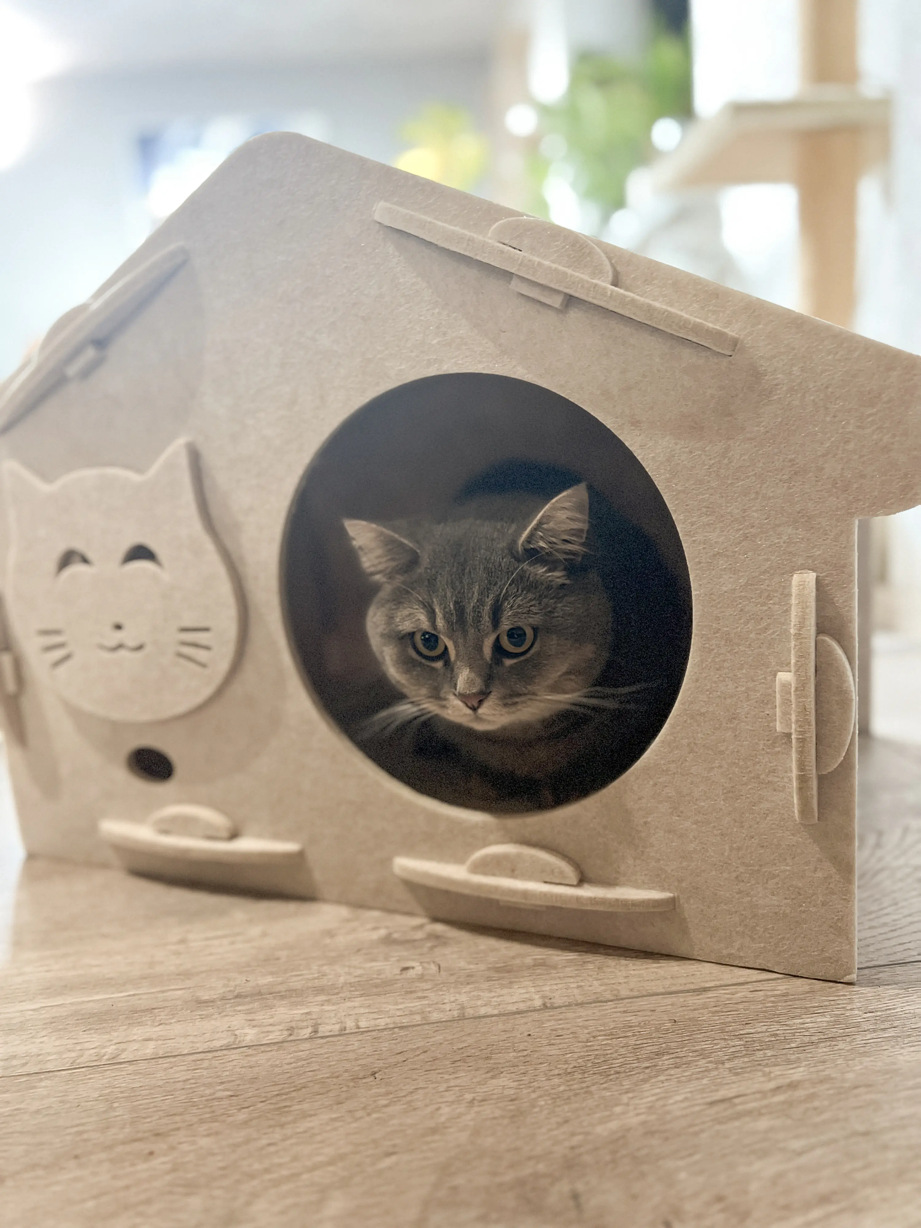 Aumüller Katzenhaus Feli 60 x 40 cm beige