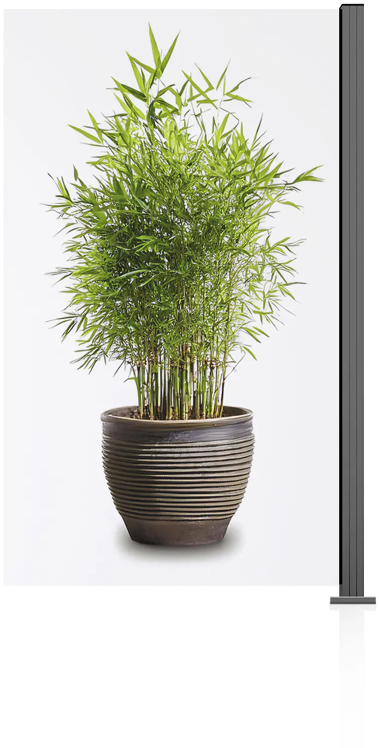 Ambiente Glaszaun Erweiterungsset Klarglas 187 x 107,2 cm grau