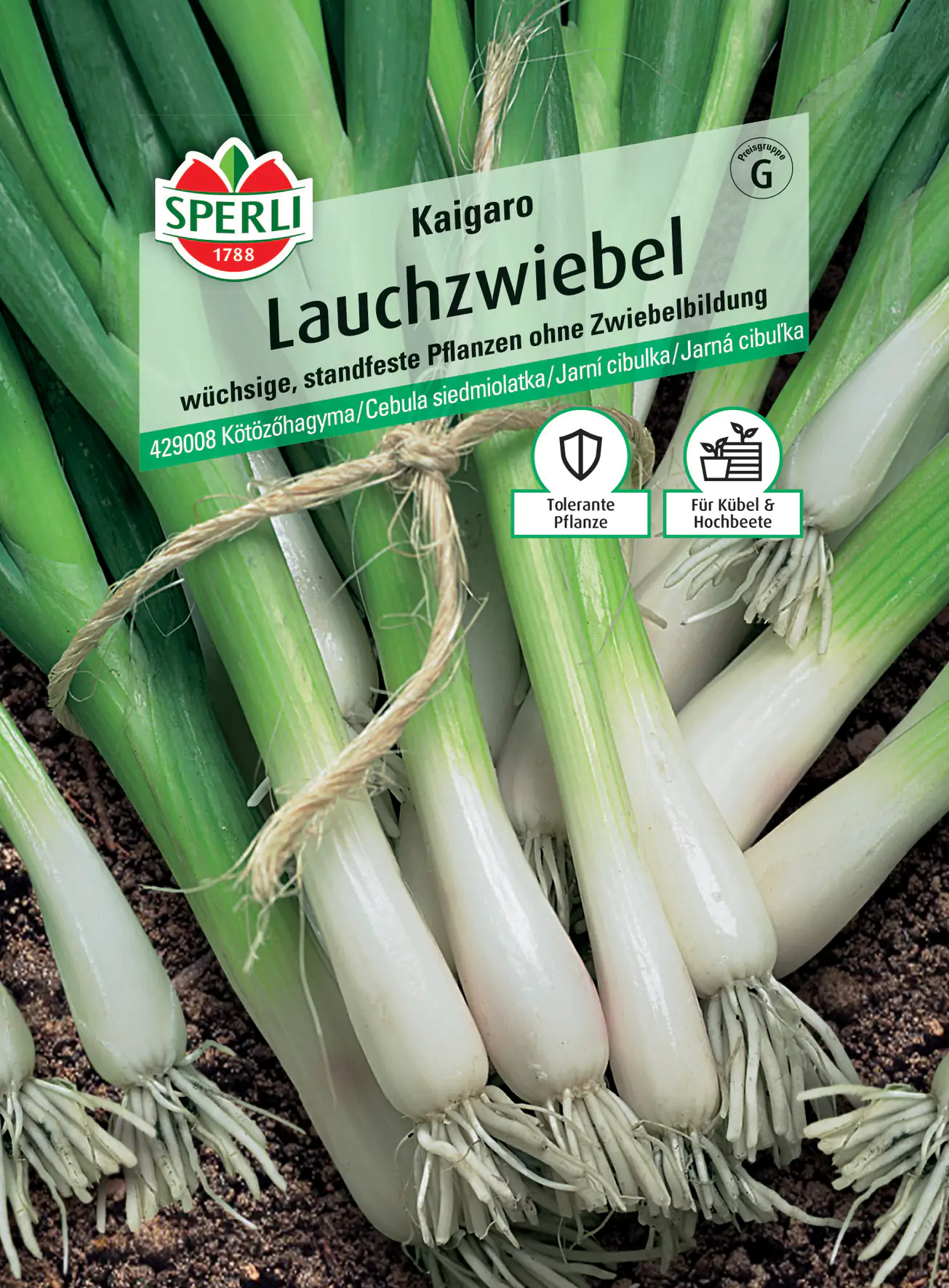Sperli Lauchzwiebel Kaigaro