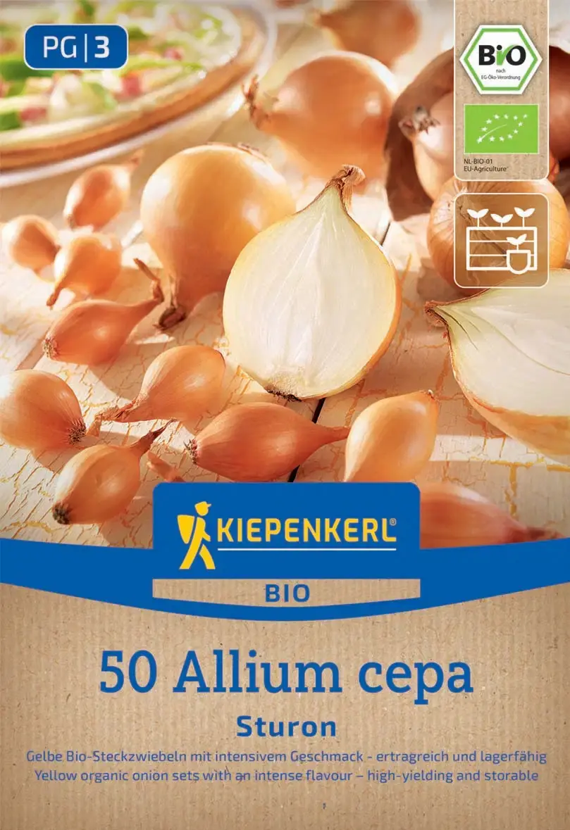 Kiepenkerl Bio Steckzwiebel Sturon Gr. 12/21, 50 Stück