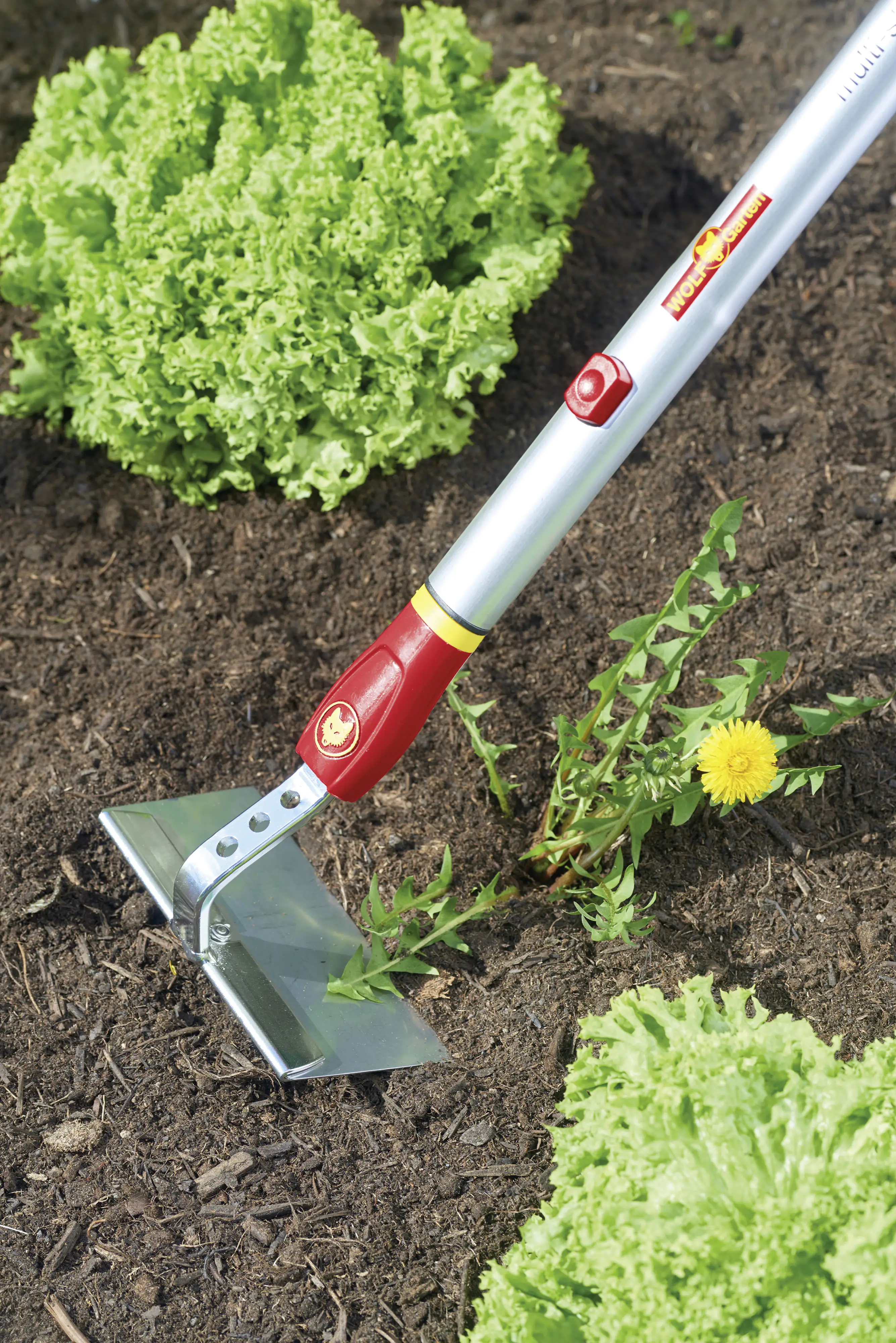 Wolf Garten Hacke HW-M 15 Multi-Star, 15 cm Arbeitsbreite Wolf Garten Hacke HW-M 15 Multi-Star, 15 cm Arbeitsbreite