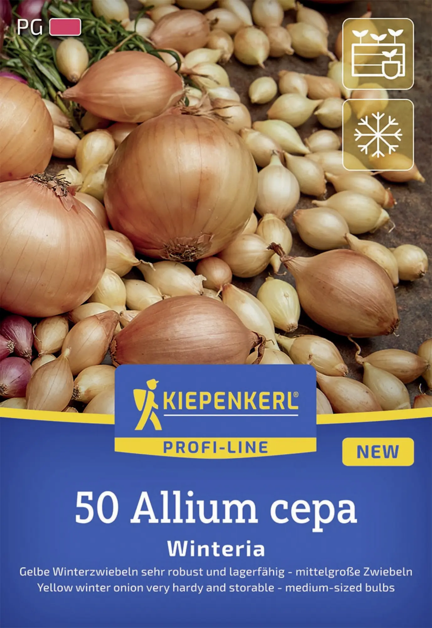 Kiepenkerl Pflanzgut Gelbe Wintersteckzwiebel Winteria 50 Stück