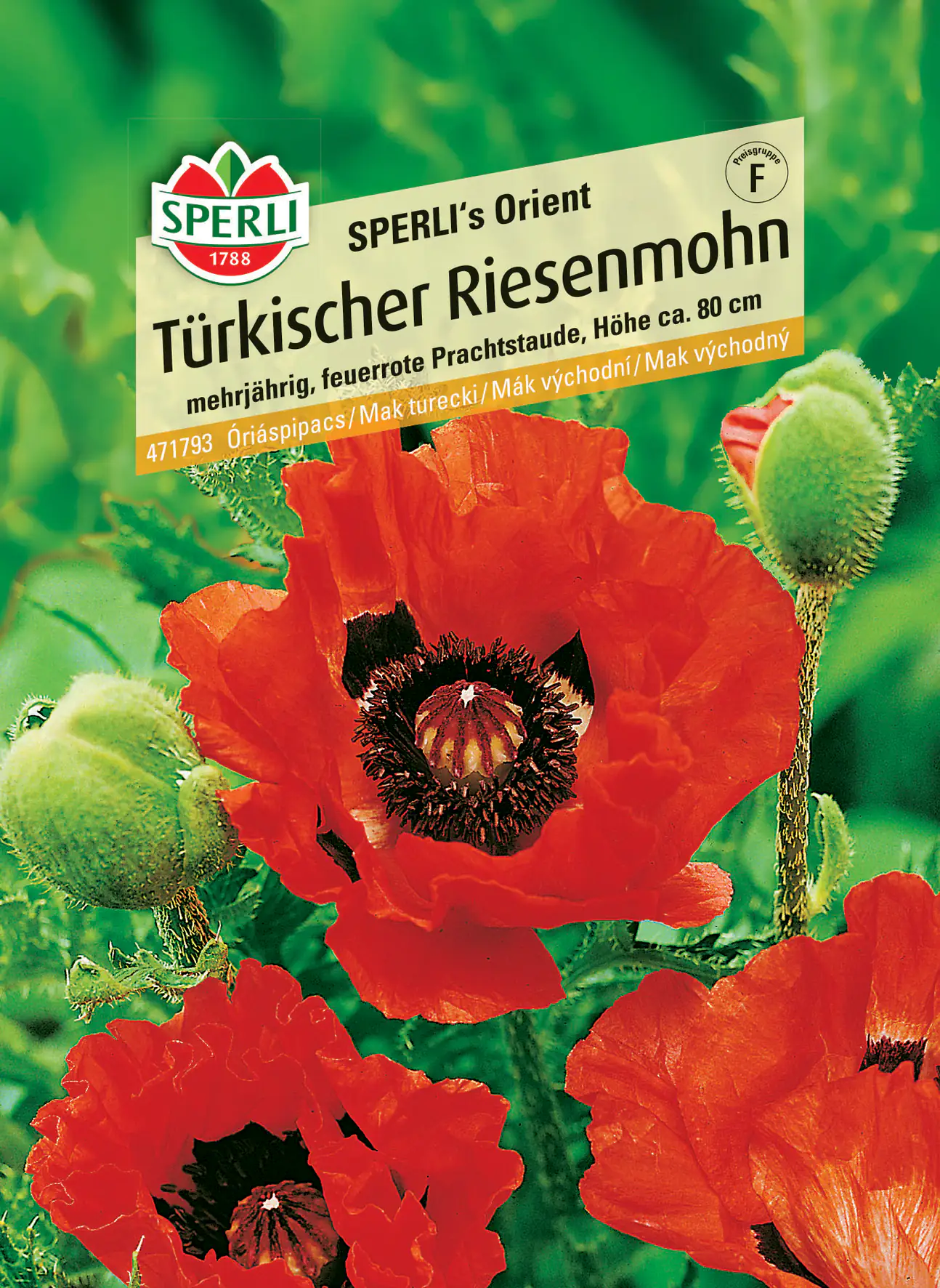 Sperli Türkischer Riesenmohn SPERLI's Orient Sperli Türkischer Riesenmohn SPERLI's Orient