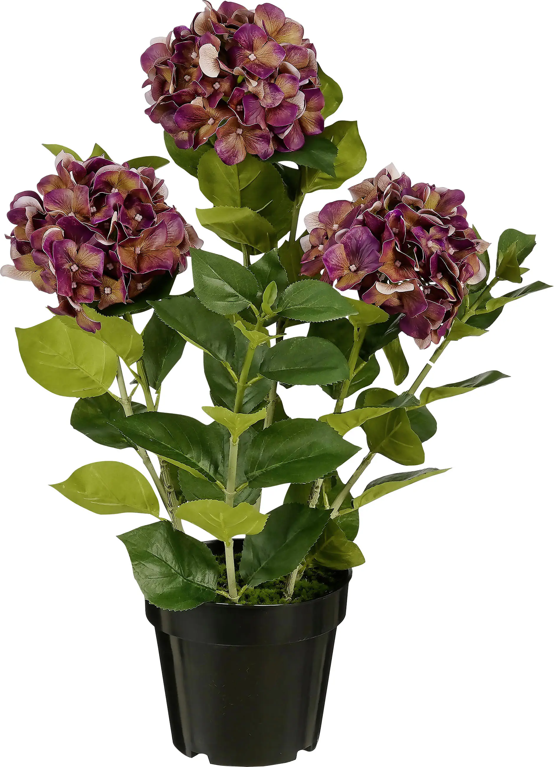 Mica Decorations Kunstpflanze Hortensie im Topf violett Ø 40 x 65 cm