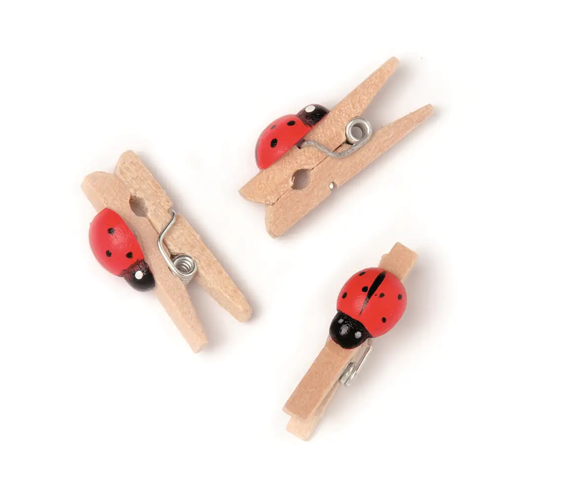 Glorex Wäscheklammer Marienkäfer 12 Stück Marienkäfer Mini