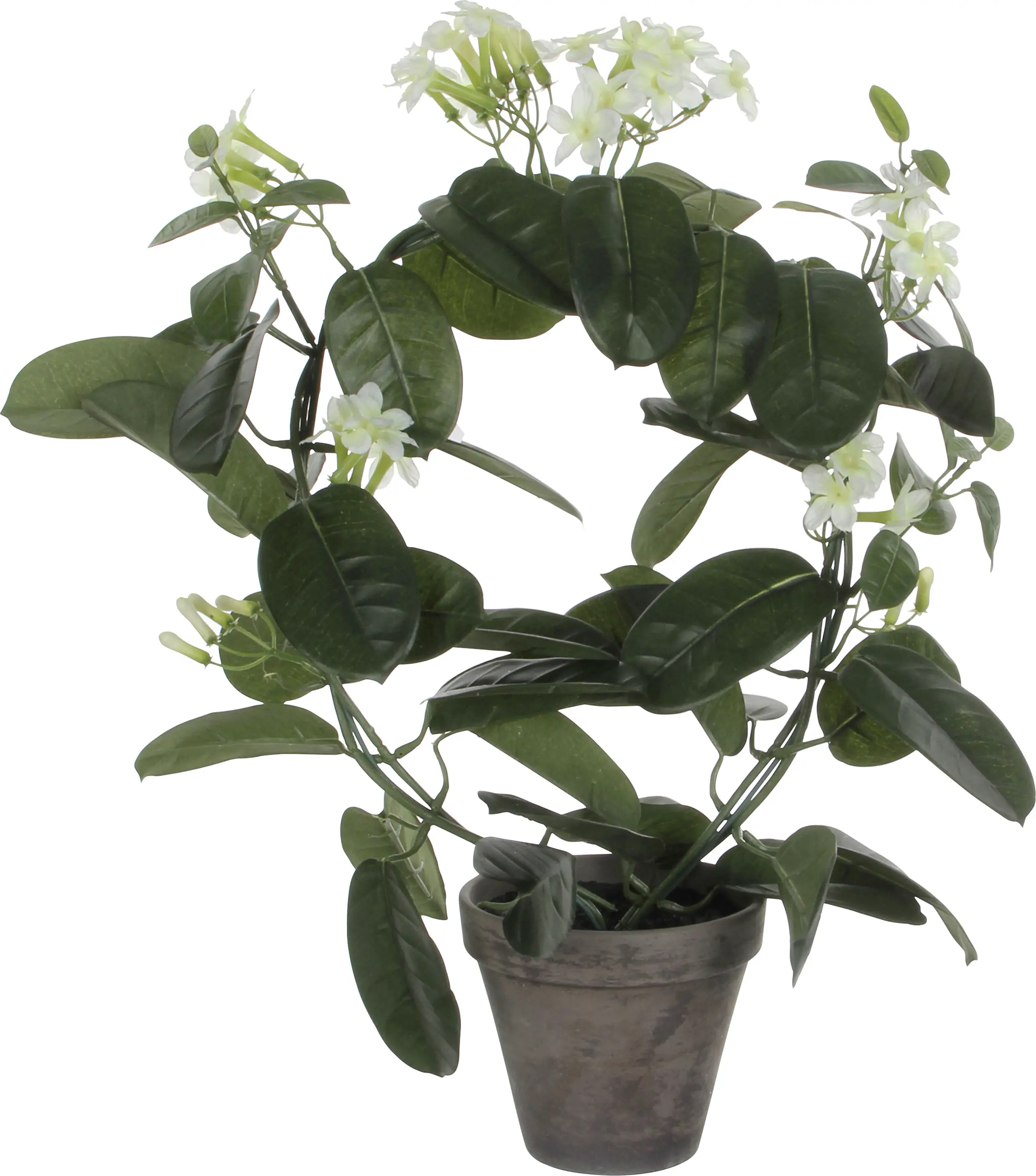 Mica Decorations Stephanotis in Topf polyester 50 x 40 cm weiß