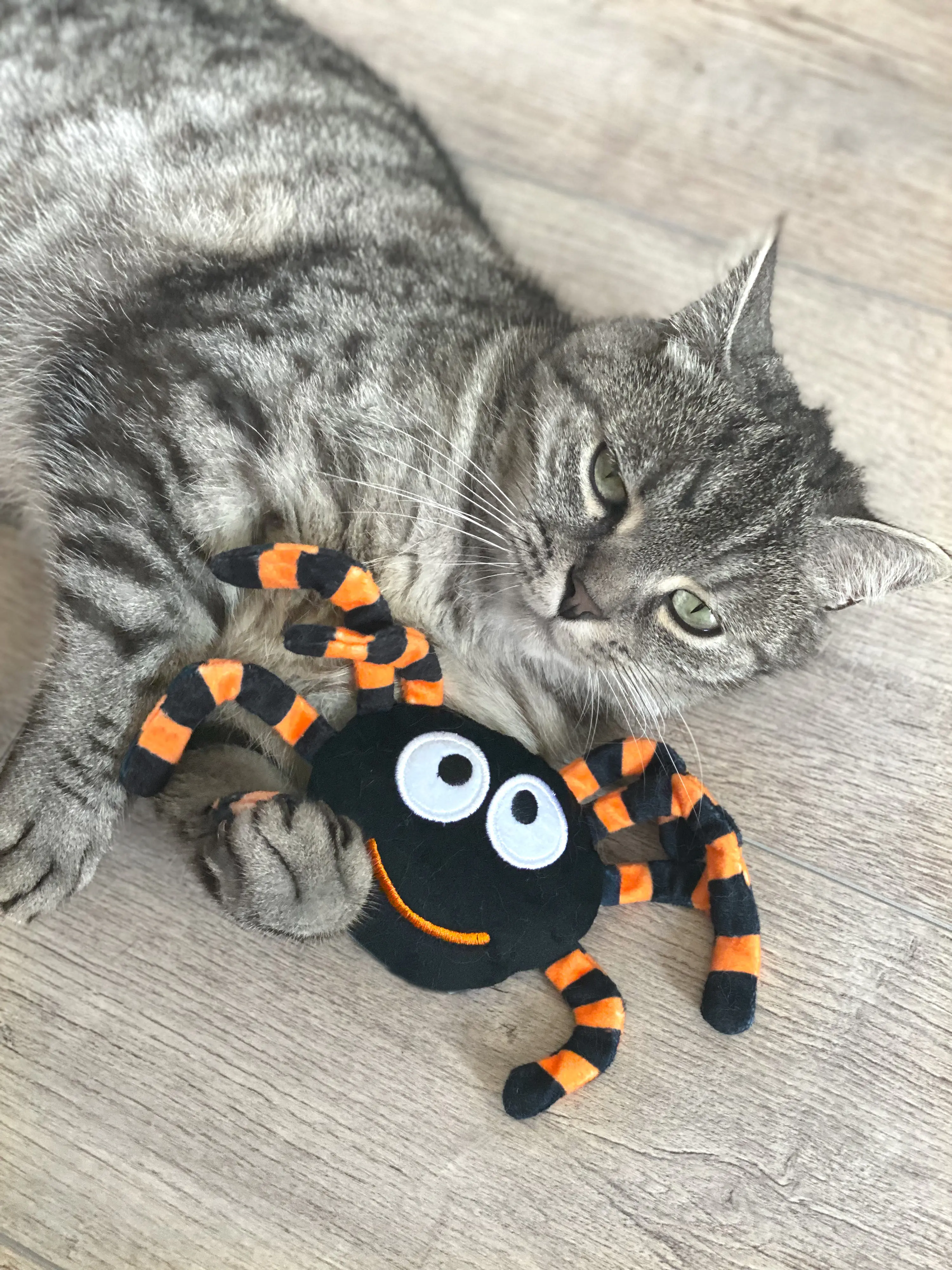 Aumüller Katzenspielzeug Spinne Thekla 18 cm schwarz orange Aumüller Katzenspielzeug Spinne Thekla 18 cm schwarz orange