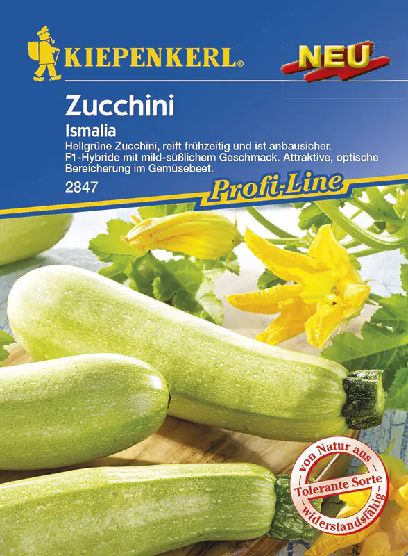 Kiepenkerl Zucchini Ismalia Cucurbita pepo, Inhalt: 6 Korn