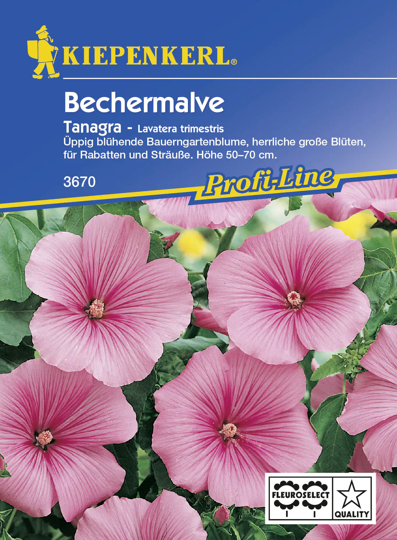 Kiepenkerl Bechermalve Tanagra Rosa Lavatera trimestris, Inhalt: ca. 40 Pflanzen