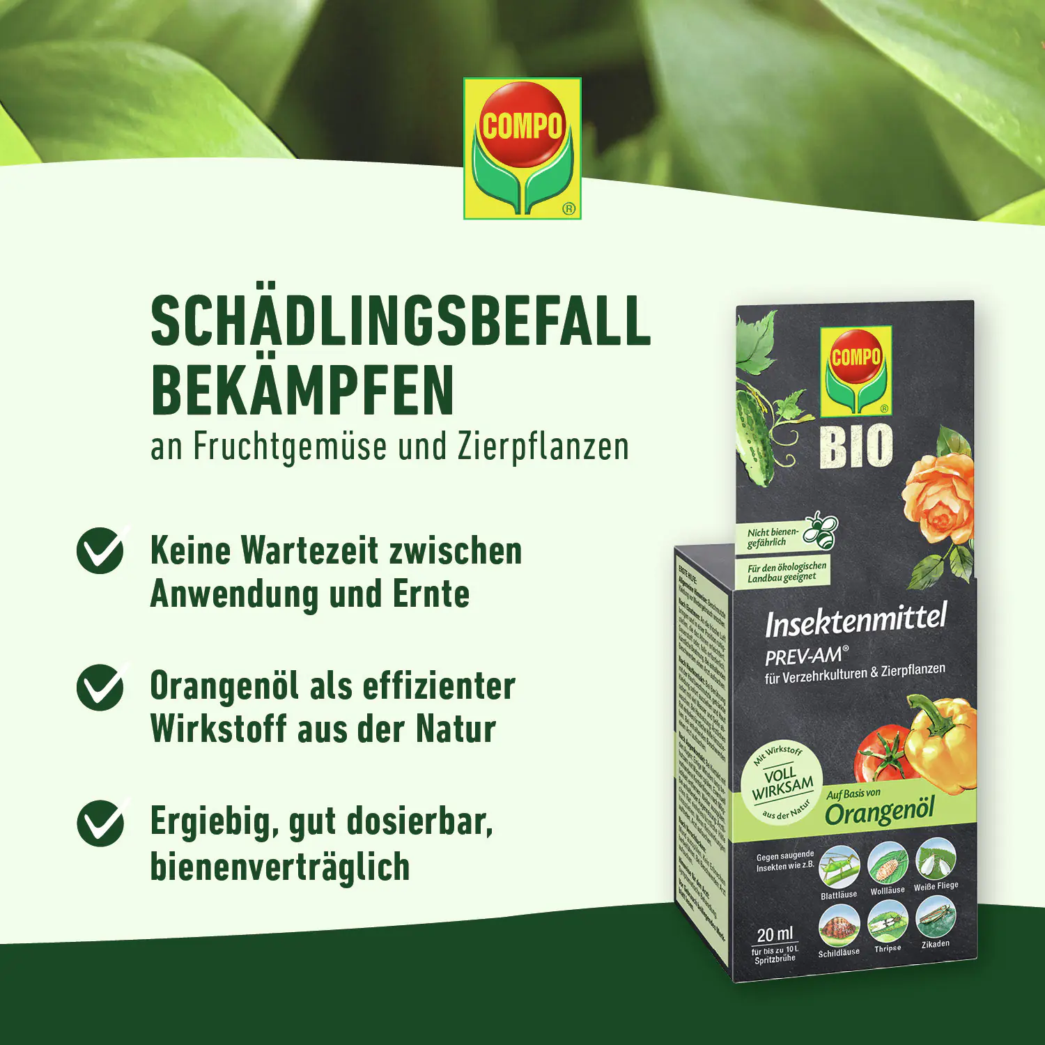 Compo Insektenmittel Prev-Am 20 ml