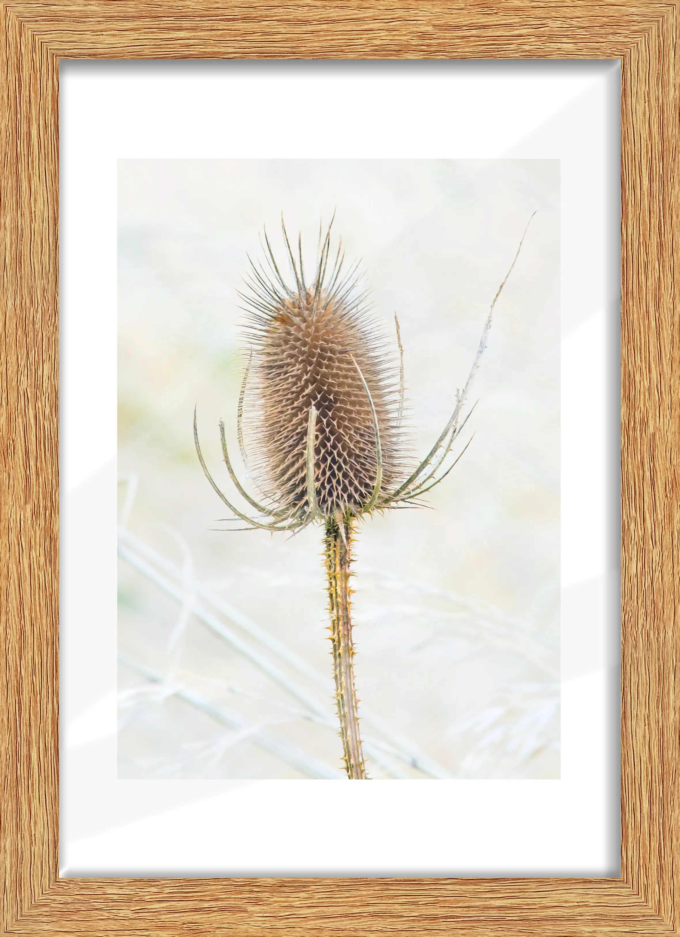 Bilderrahmen Holz Arosa eiche hell 21 x 29,7 cm