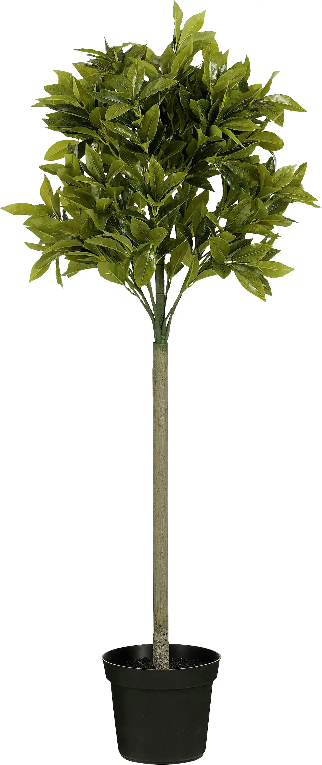 Mica Decorations Kunstpflanze Laurel Baum im Topf grün Ø 40 x 120 cm