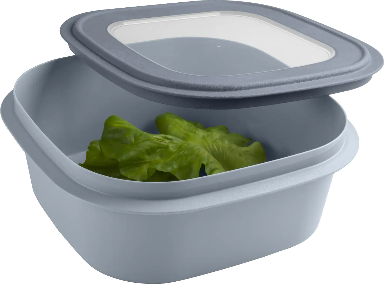 Sunware Frischhaltedose Sigma Home 2,8 L blaugrau