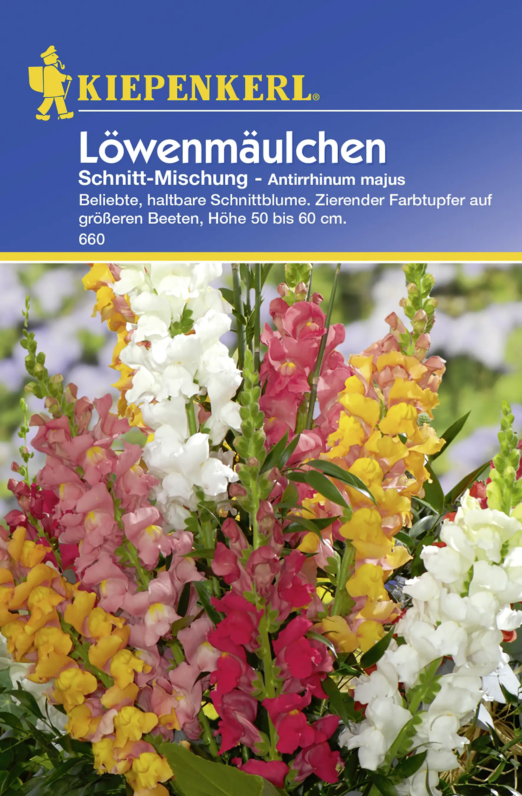 Kiepenkerl Löwenmäulchen Schnitt-Mischung Inhalt reicht für ca. 50 Pflanzen