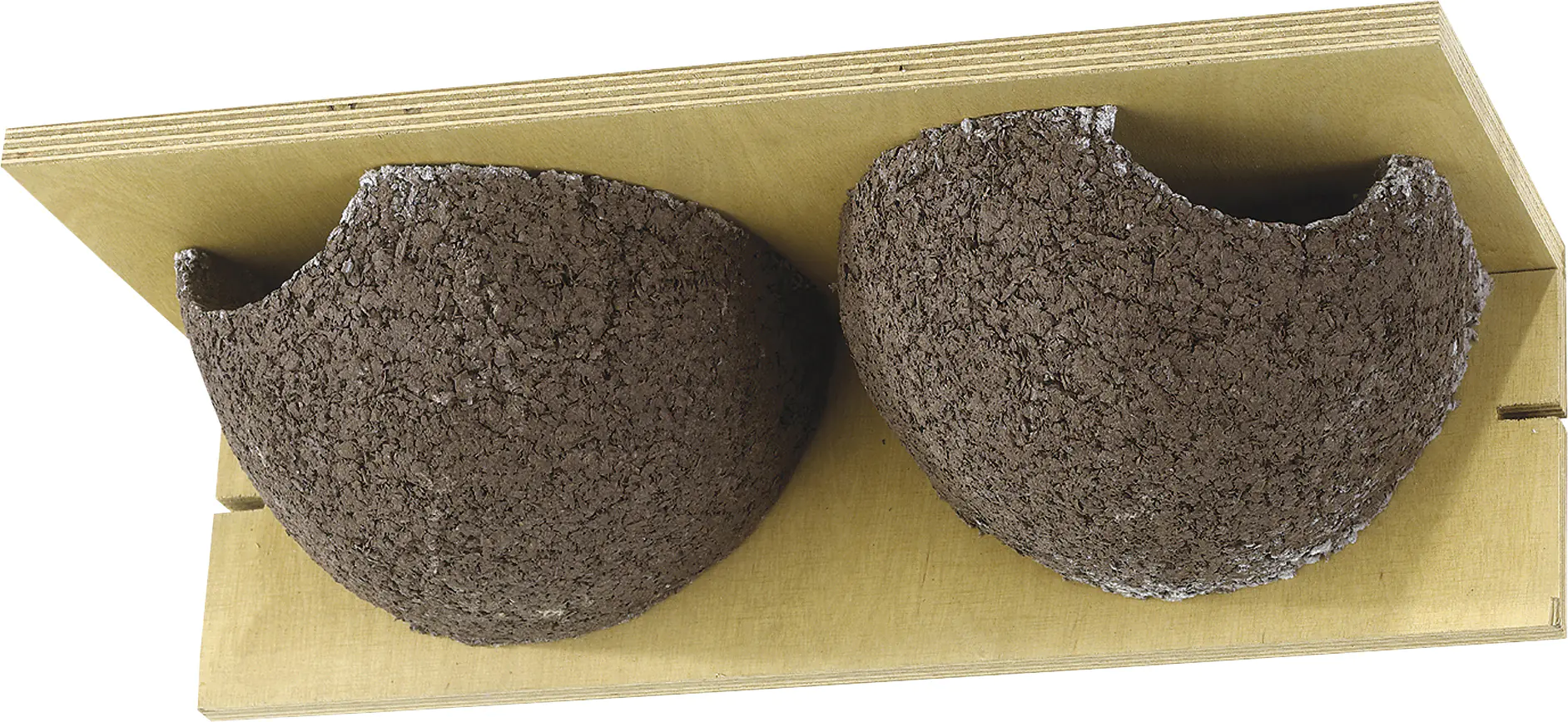 Wildlife Kunstnistkasten Mehlschwalbe Cancun doppelt natur Wildlife Kunstnistkasten Mehlschwalbe Cancun doppelt natur