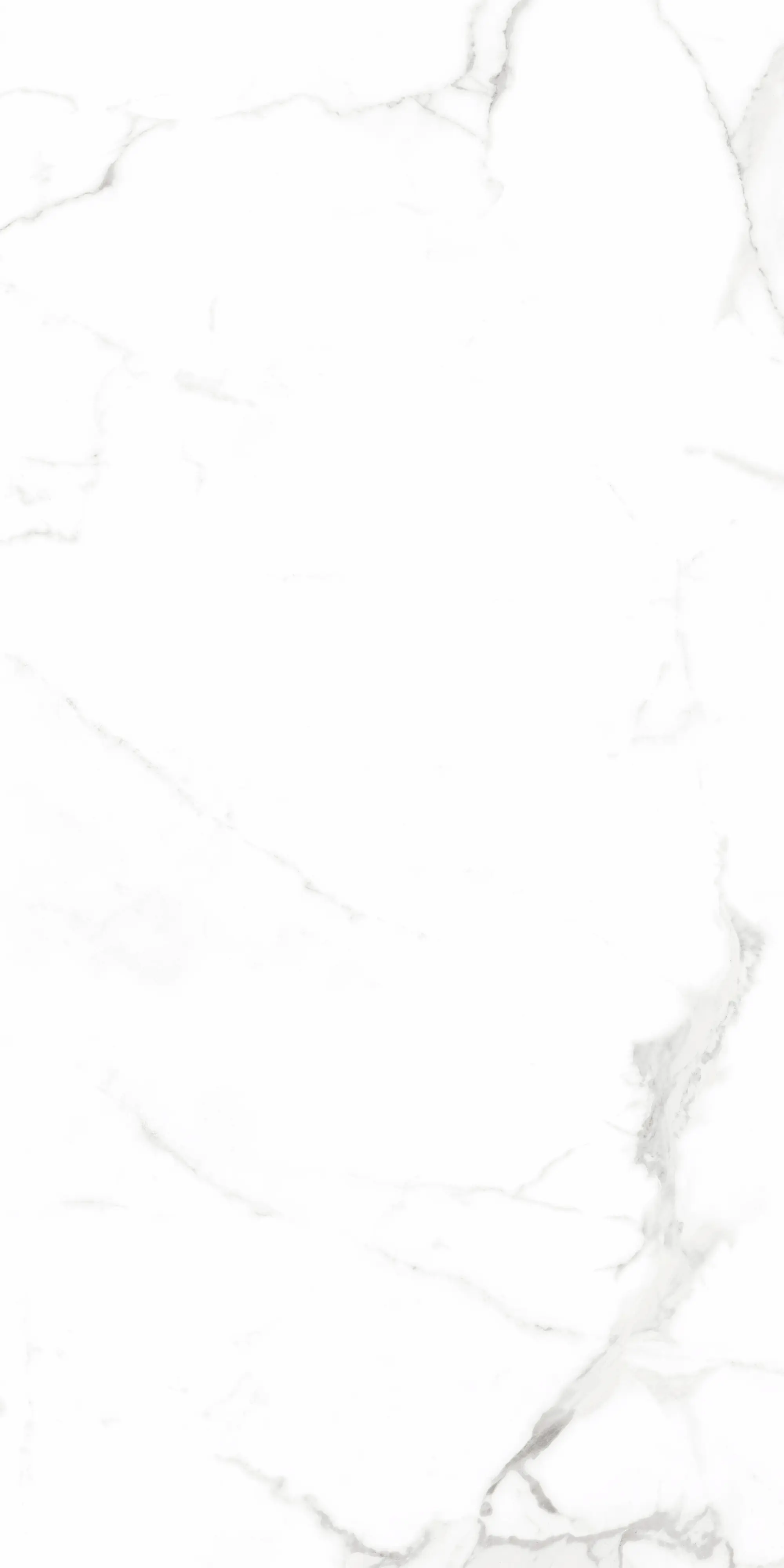 Bodenfliese Feinsteinzeug Alcora 60 x 120 cm weiß/grau