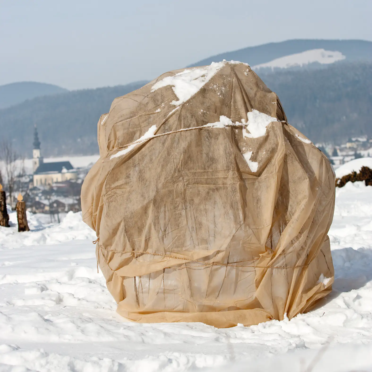 Windhager Winter-Vlies Protect 5 x 1,5 m, beige