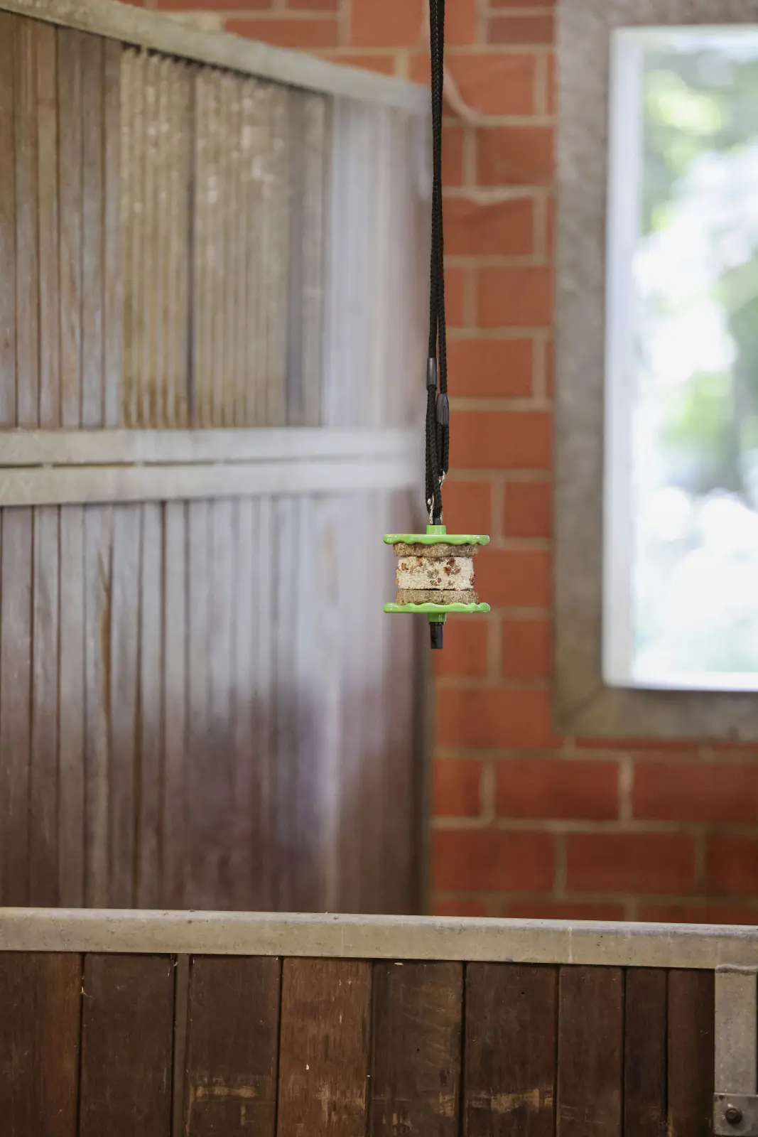 Kerbl Delizia Pferdeleckerli Sandwich Karotte 195 g