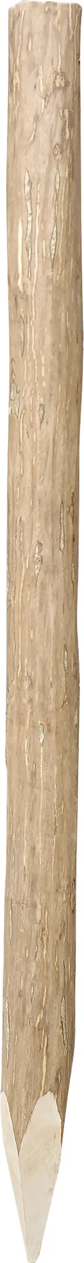 Pfähle Haselnuss 120 cm, 60 - 120 mm, natur