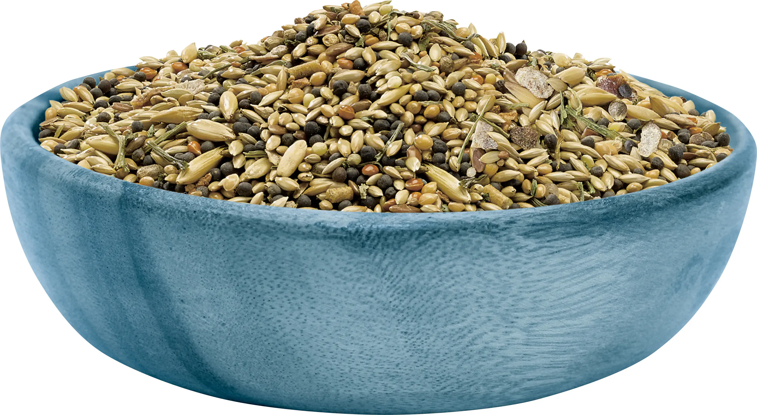 Vitakraft Canarian 800 g Vitakraft Canarian 800 g