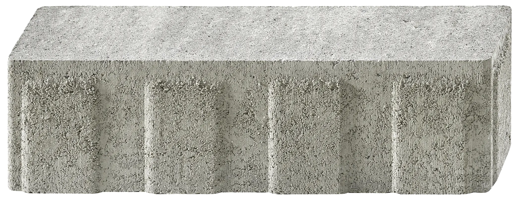 KANN Pflasterstein Rimero 24 x 6 x 7 cm grau-alpin