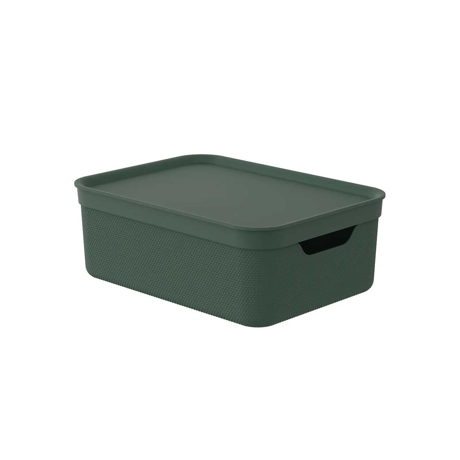 Rotho Aufbewahrungsbox Alvra mit Deckel 36,5 x 26,5 cm 10 L pure grün