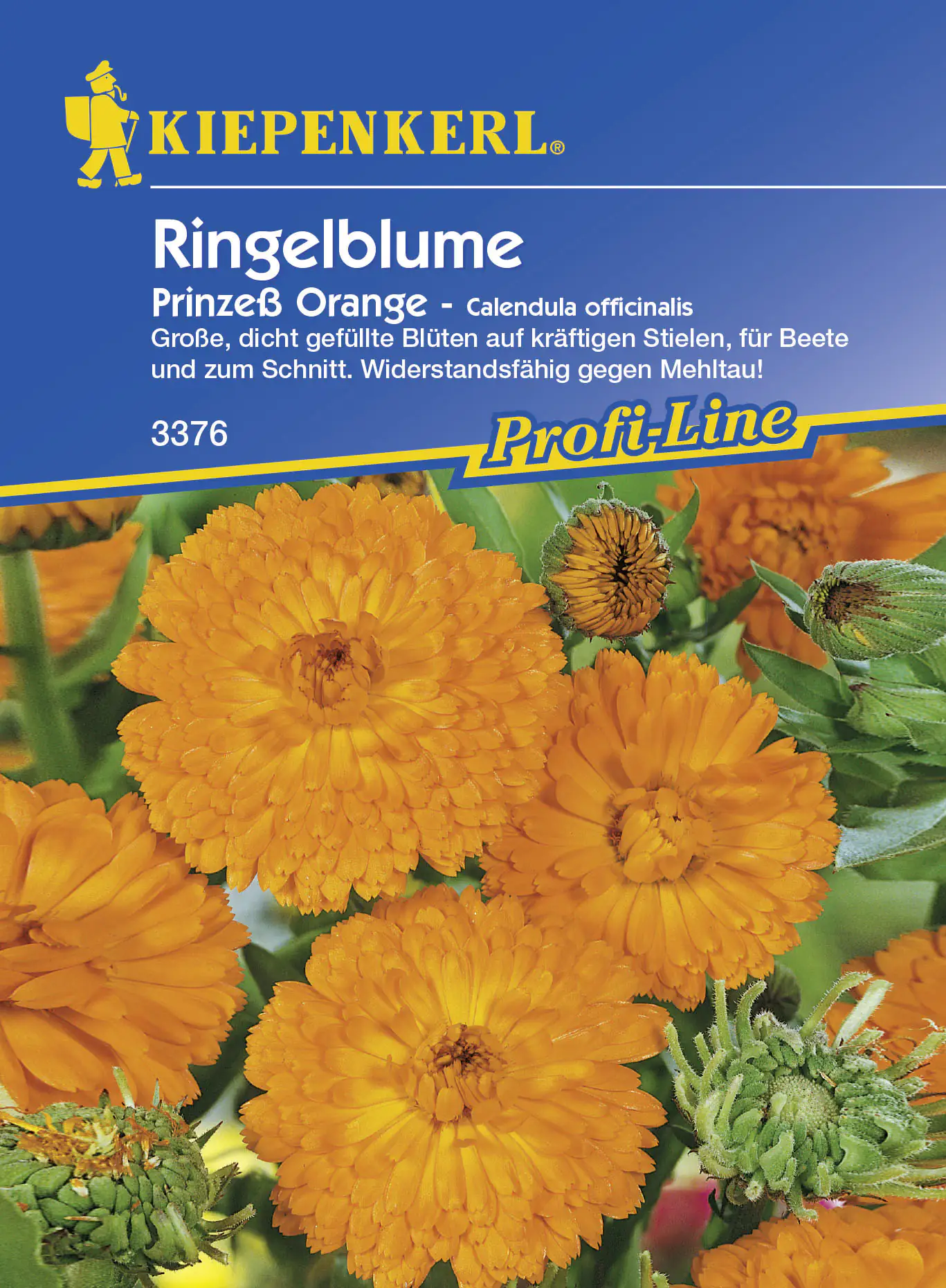 Kiepenkerl Ringelblume Prinzeß Orange Calendula officinalis, Inhalt: ca. 80 Pflanzen