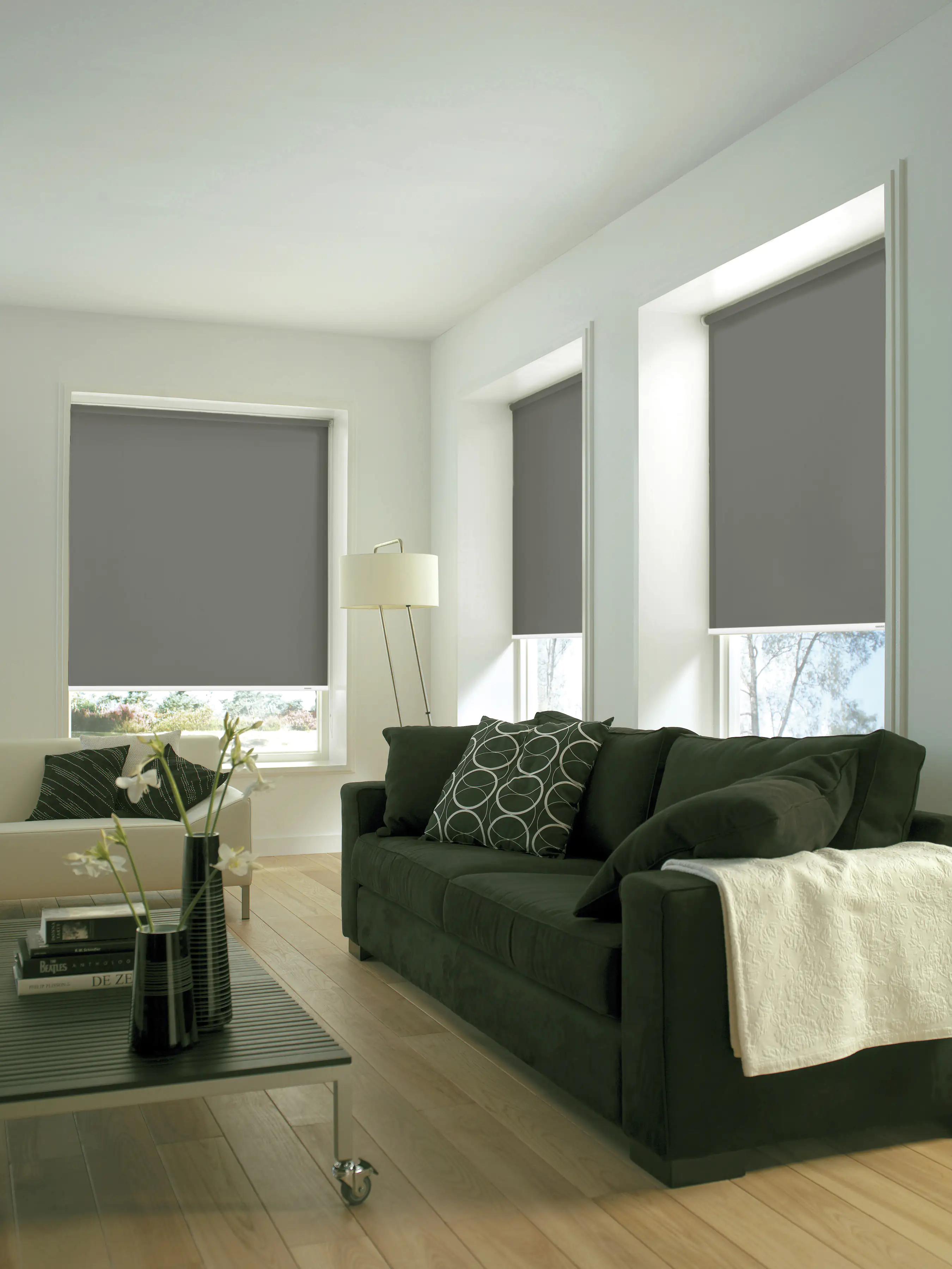 Gardinia Seitenzugrollo grau 62 x 180 cm