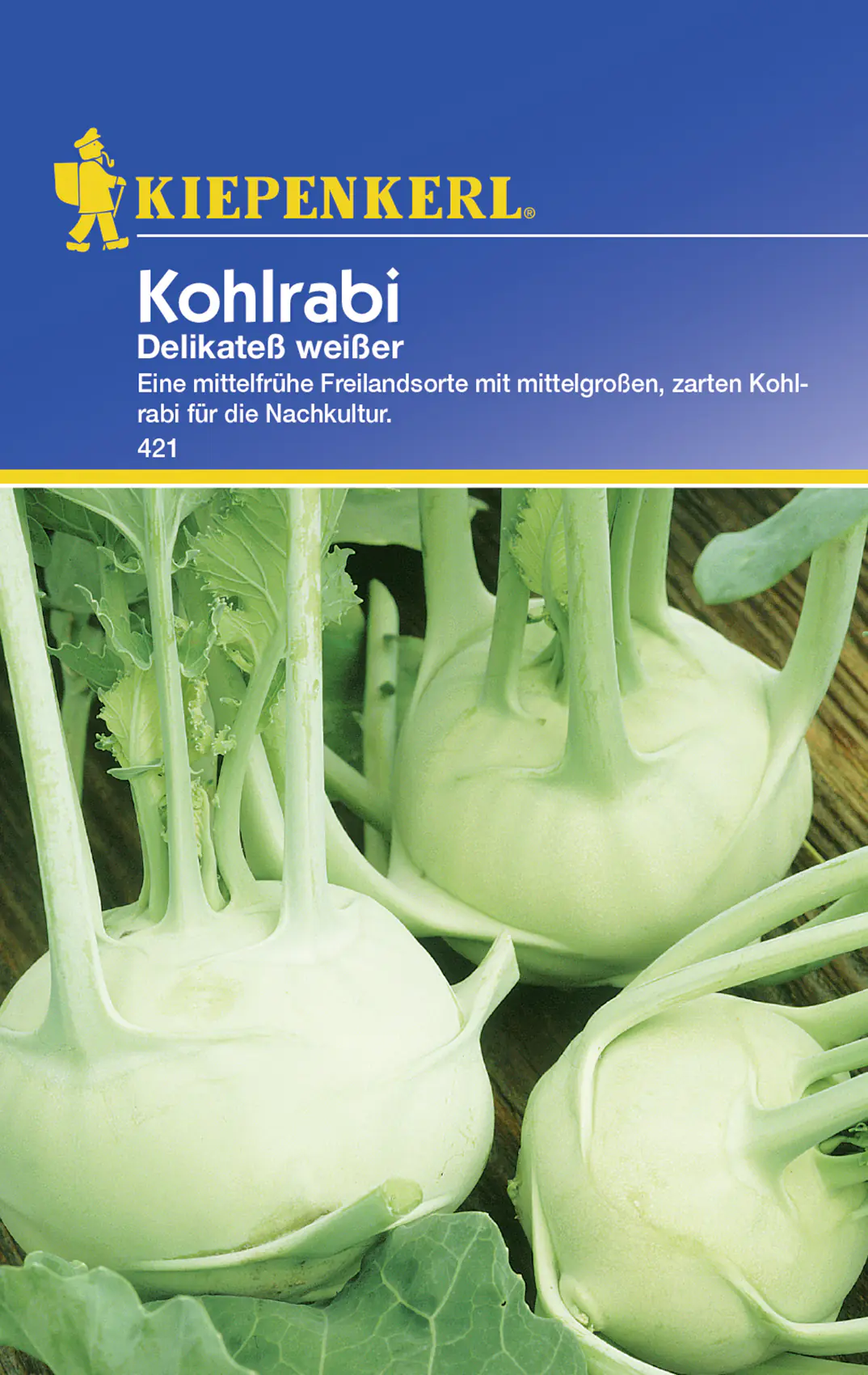 Kiepenkerl Kohlrabi Delikatess weißer Brassica oleracea var. gongylodes, Inhalt: ca. 100 Pflanzen