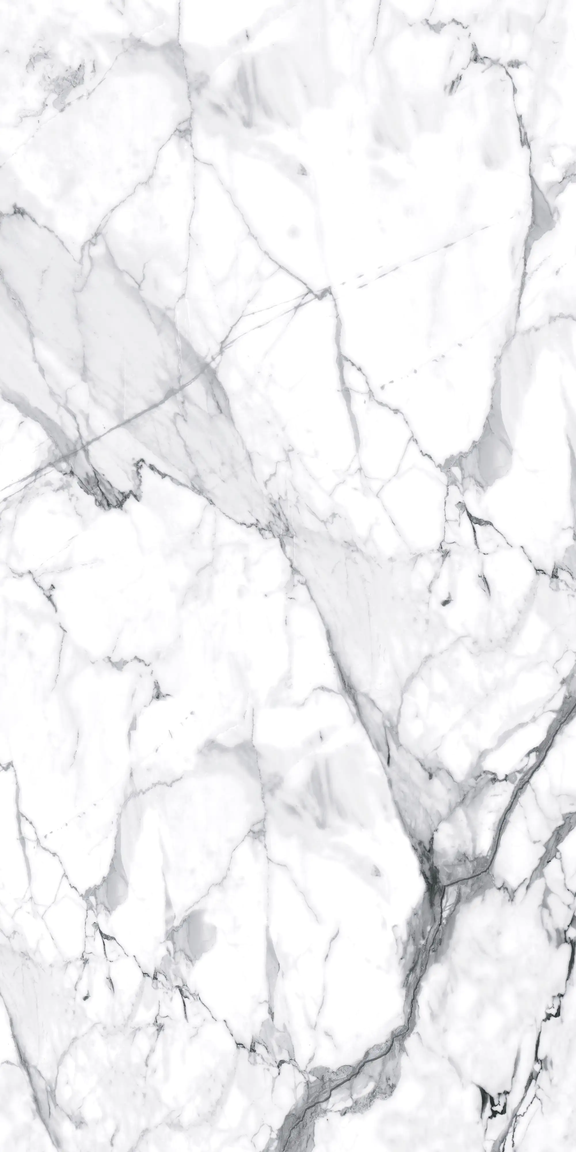 Bodenfliese Feinsteinzeug Visage Grey Plus 120 x 240 cm weiß