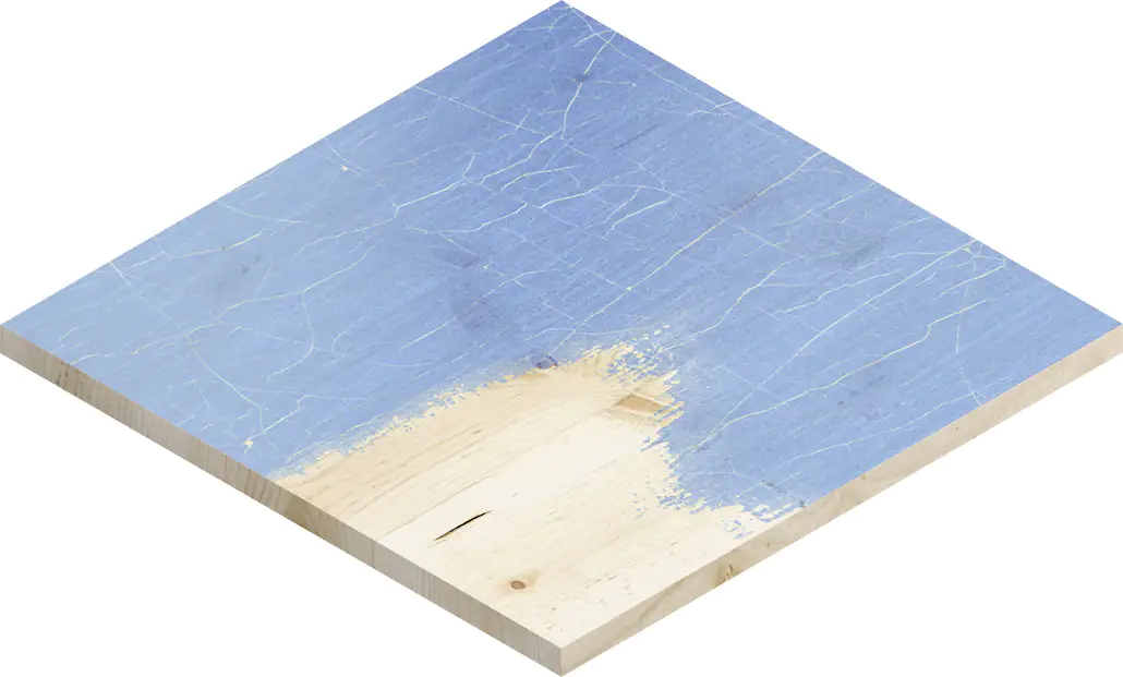 Bosch Expert Schleifnetz M480 Ø 125 mm G 80 5 Stück Bosch Expert Schleifnetz M480 Ø 125 mm G 80 5 Stück