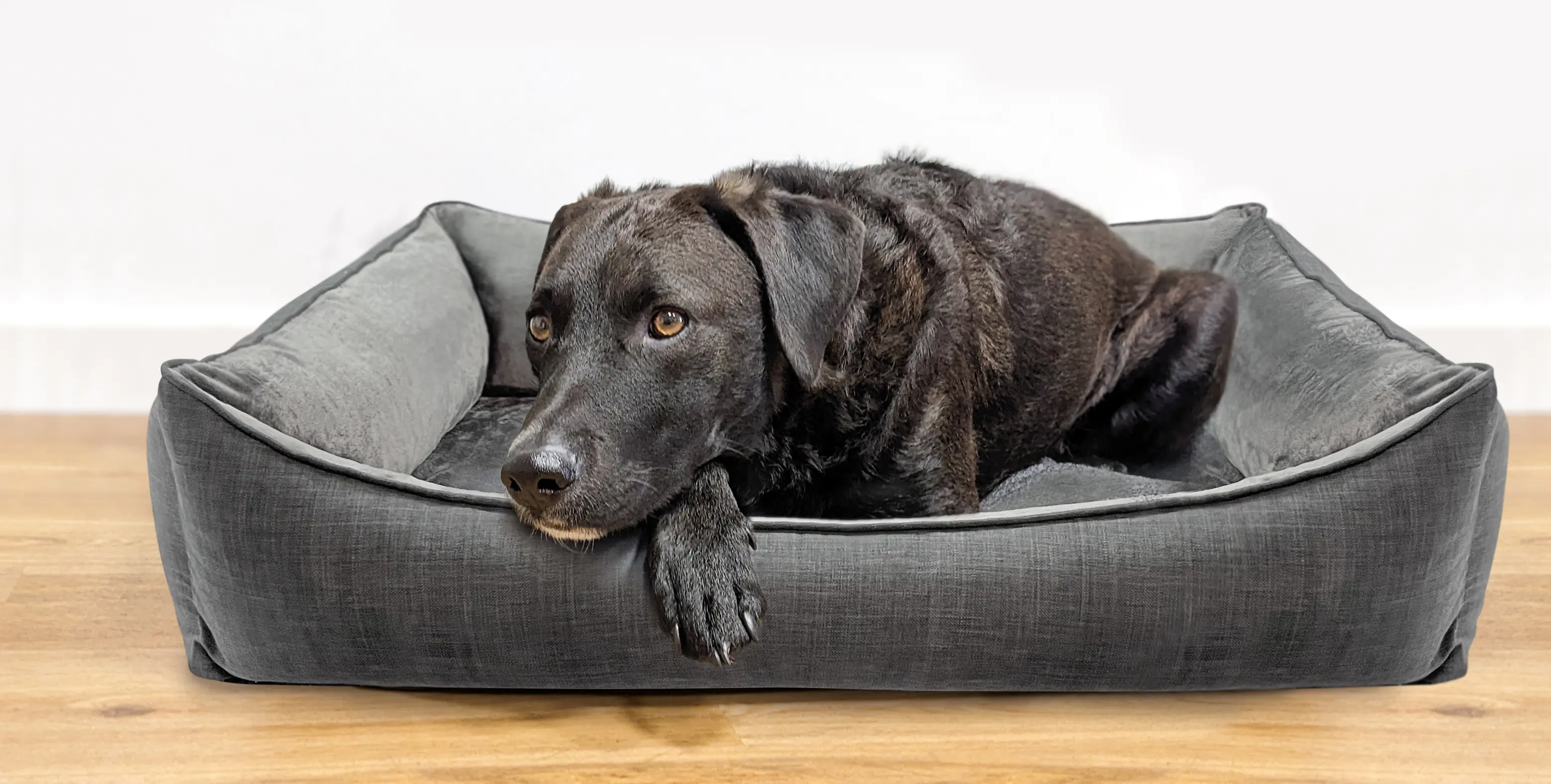 MyPlace Hundebett Mara anthrazit MyPlace Hundebett Mara anthrazit