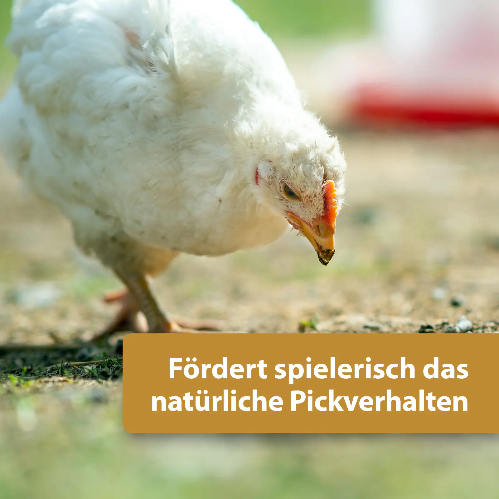 Quiko Hobbyfarming Fitness Kräuterball für Hühner und Geflügel 400 g