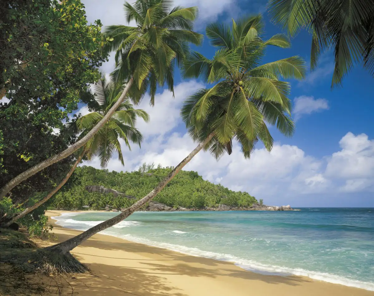 4036834083083 Komar Fototapete Tropical Sea 368 x 254 cm