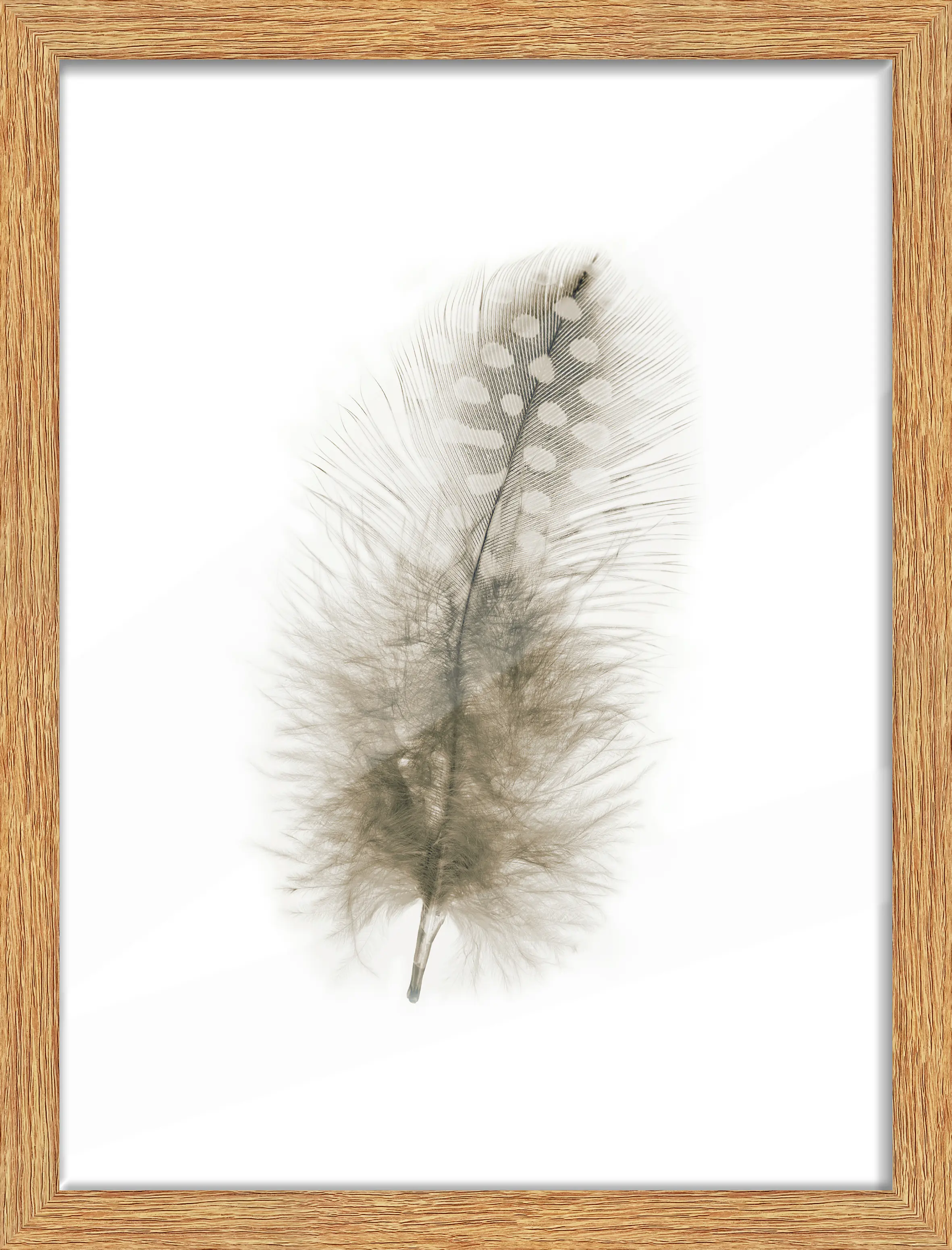 Bilderrahmen Holz Arosa eiche hell 30 x 40 cm