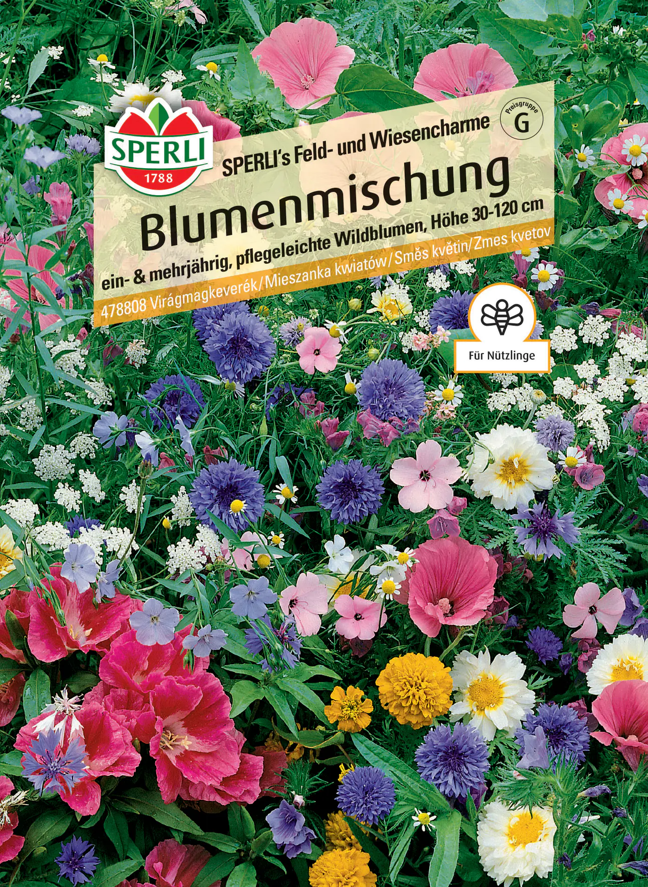 Sperli Blumenmischung Feld- und Wiesencharme