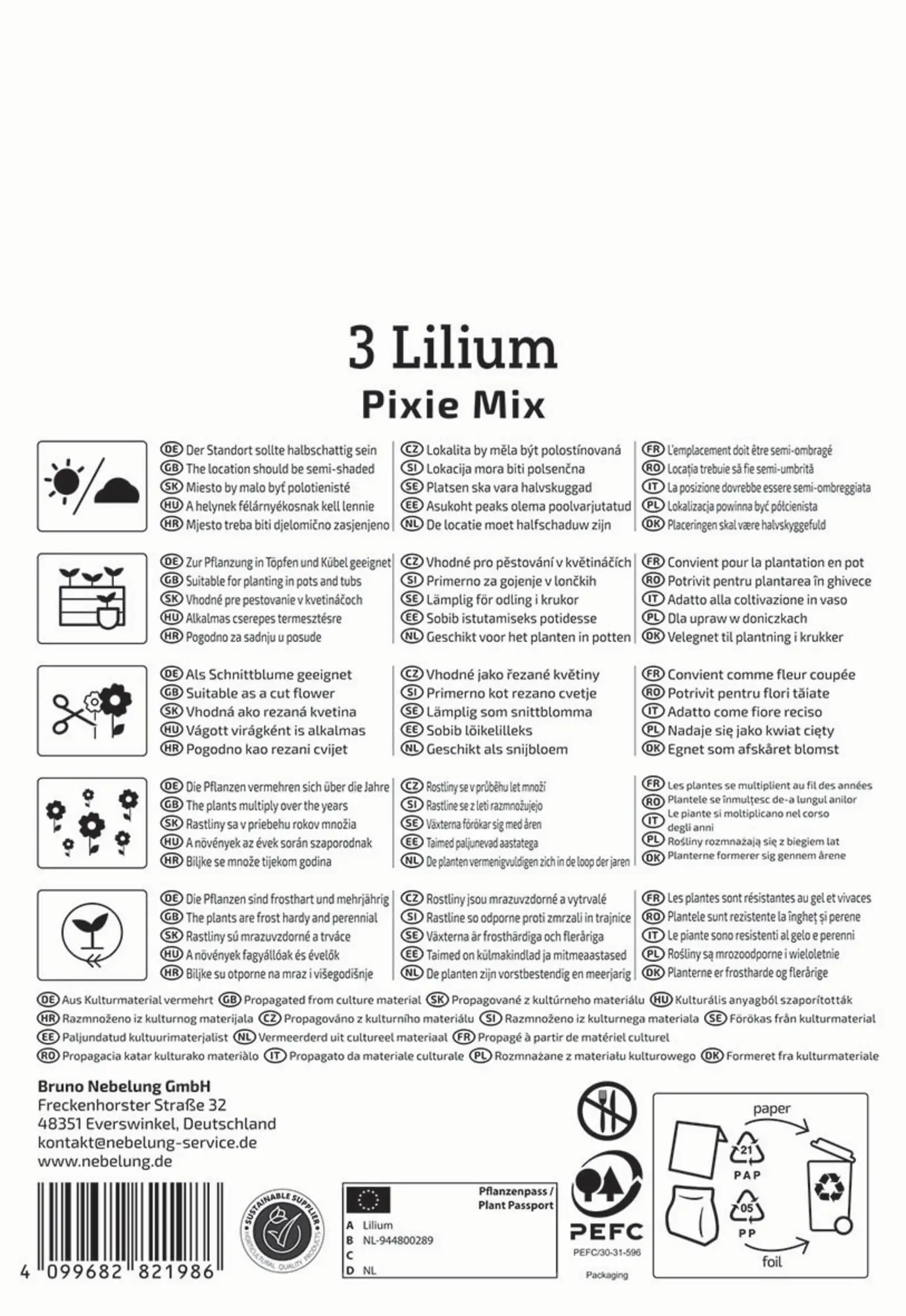 Kiepenkerl Frühjahrsblumenzwiebel Asiatische Lilie Pixie Mix 3 Stück