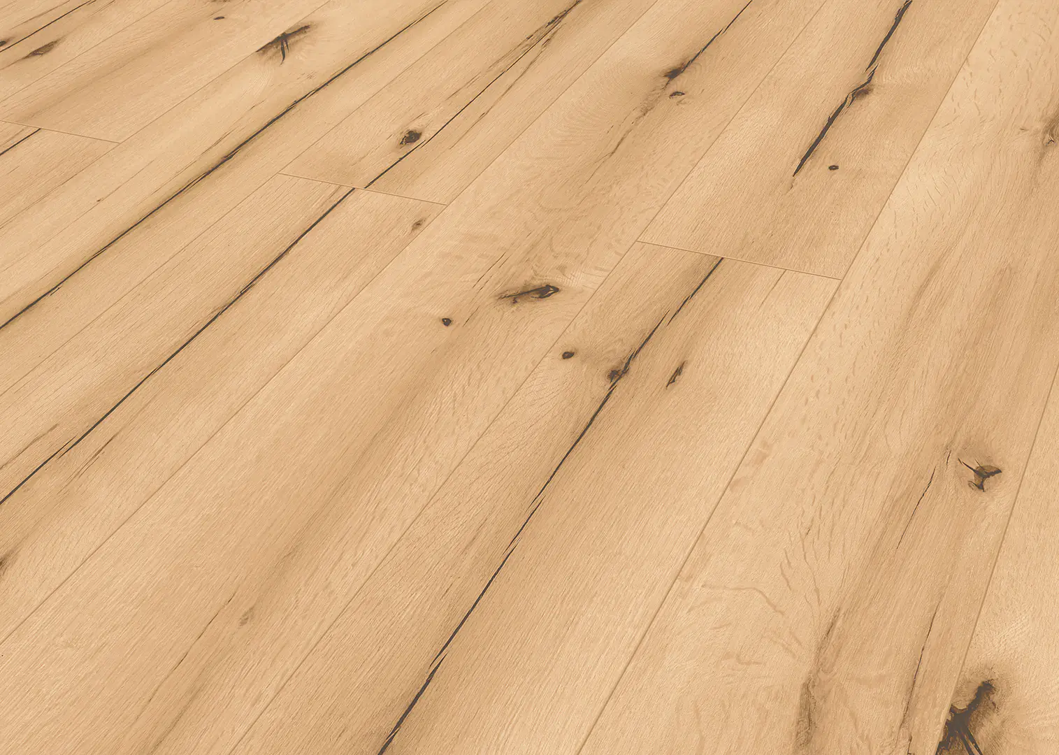 Classen Laminat edition 7+2 mit Trittschalldämmung Eiche Burnell