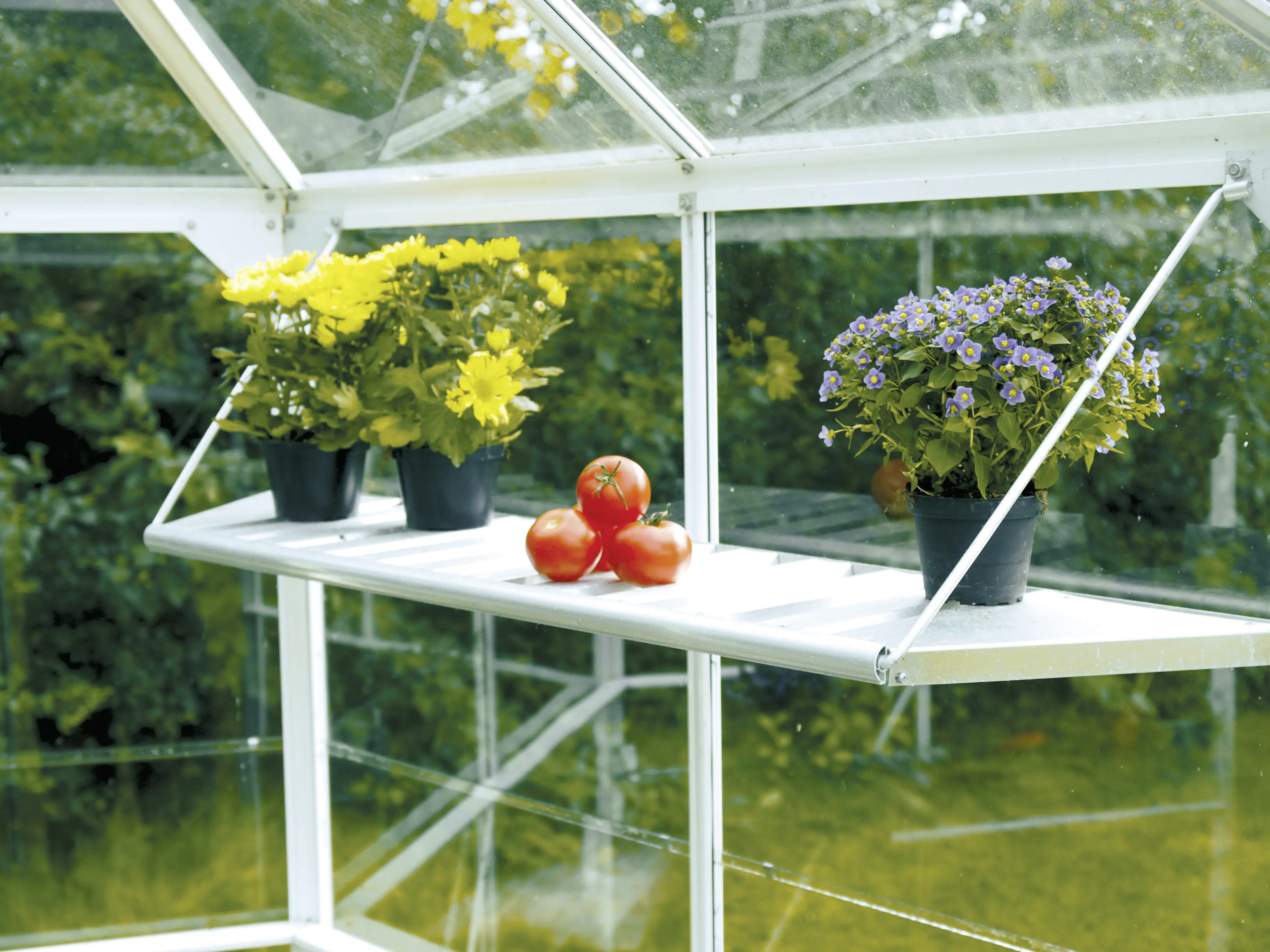 Vitavia Aluregal Hera 4500 122 x 27 x 29 cm