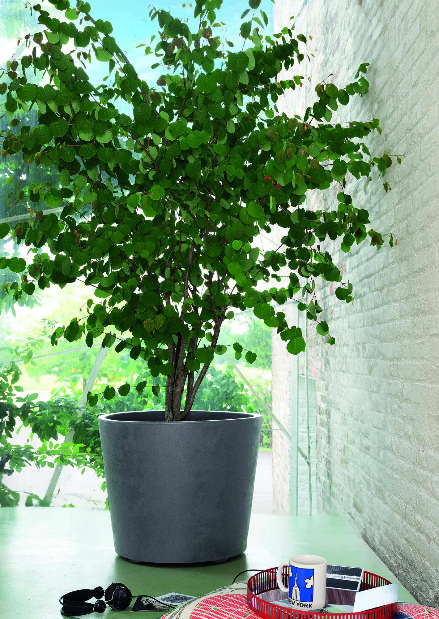 Deroma Pflanztopf Millennium Kunststoff 59 cm aschgrau mit Ablauflöchern