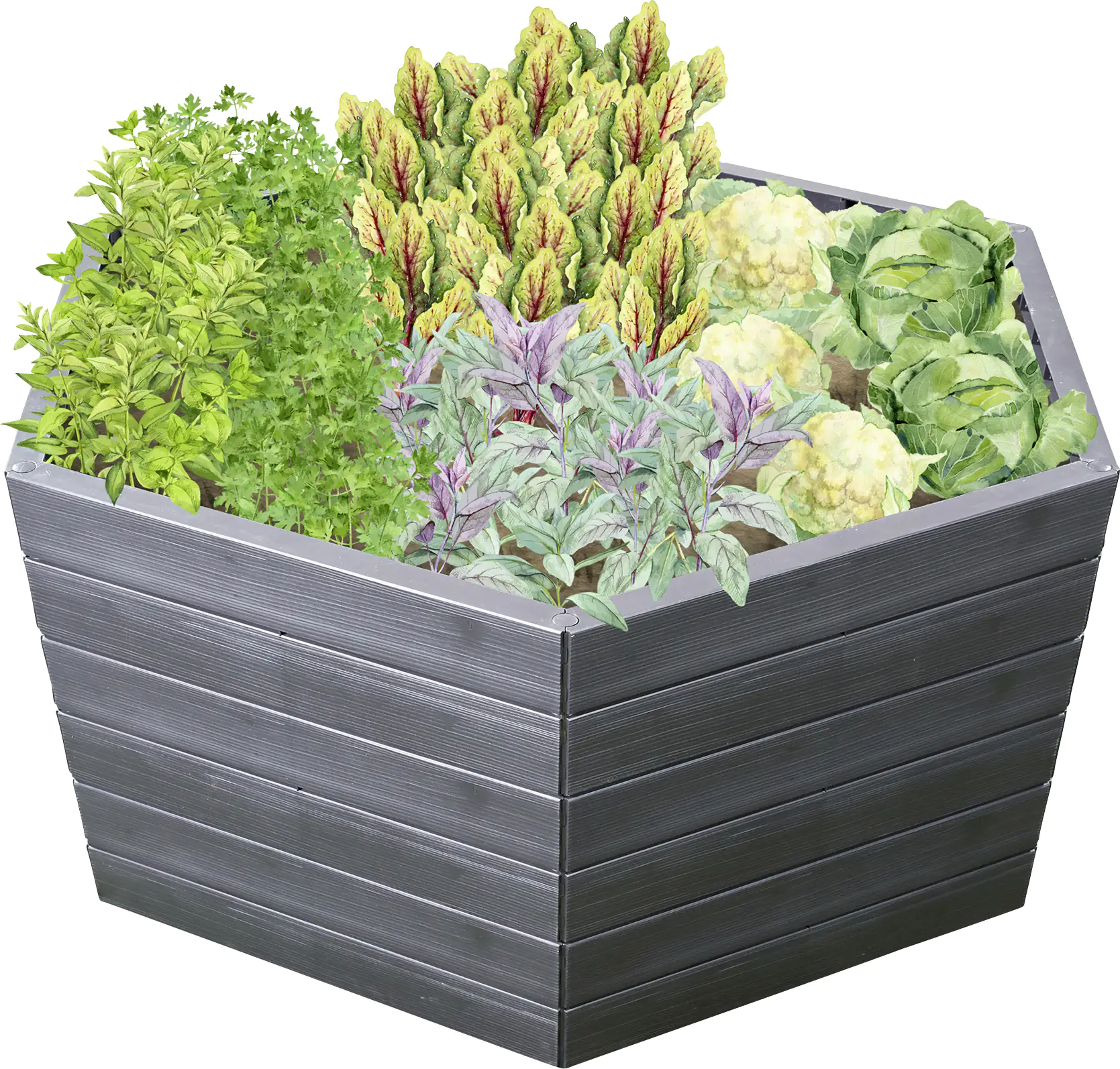 Garantia Hochbeet Ergo XL 75 mit FLORA-Wassersparsystem, 145 x 75 cm Garantia Hochbeet Ergo XL 75 mit FLORA-Wassersparsystem, 145 x 75 cm