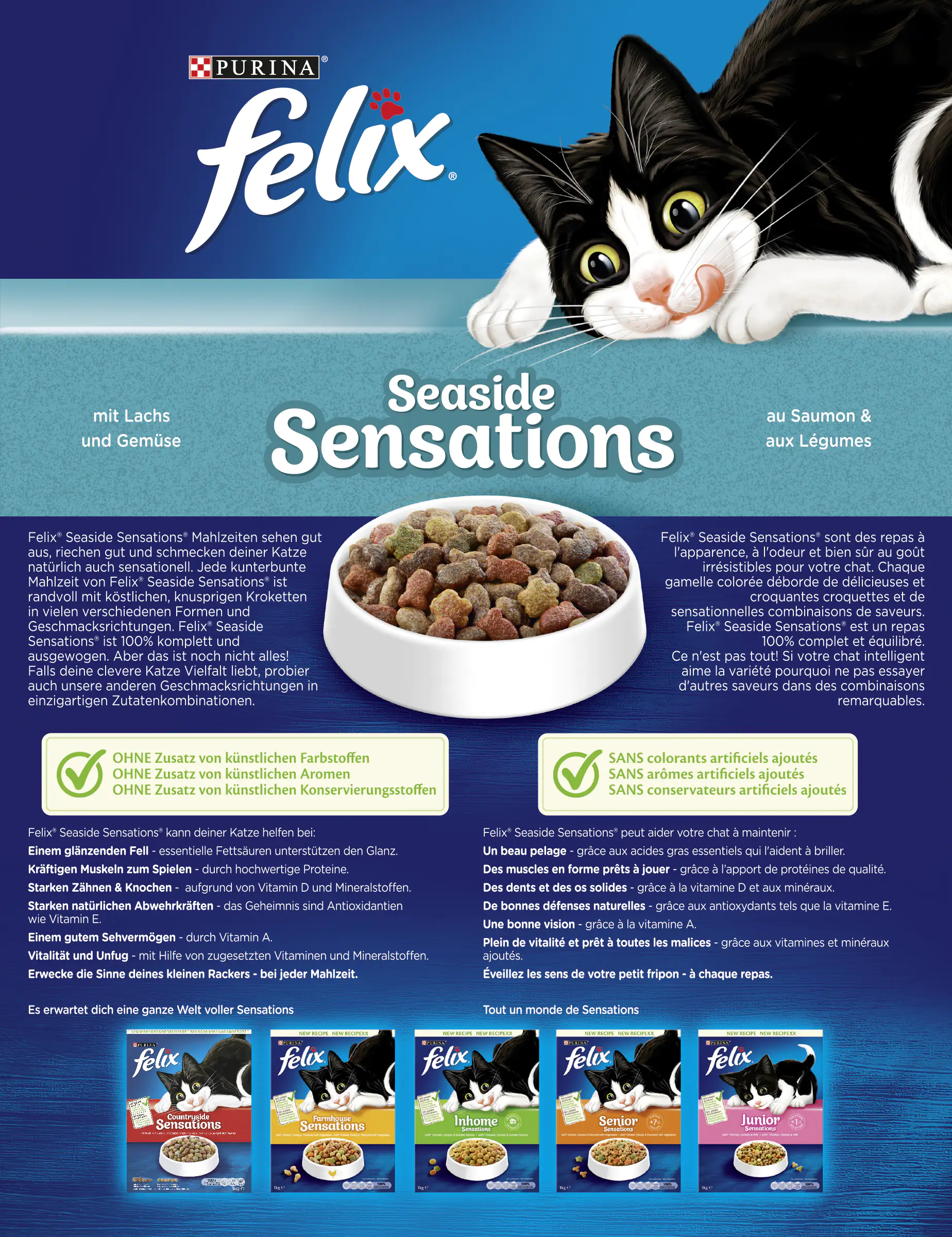 Felix Seasinde Sensations mit Lachs und Gemüse 1 kg