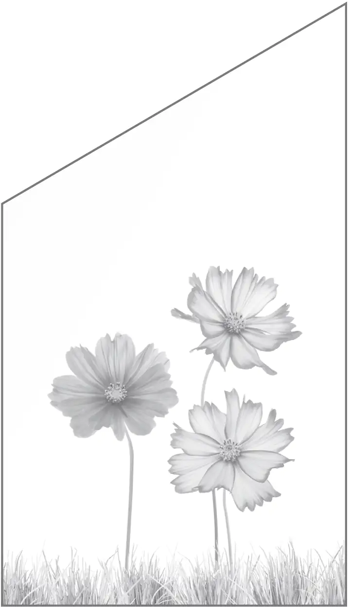 Ambiente Glaszaun Dekor 93 schräg 103 x 120/180 cm gehärtetes 8 mm Glas