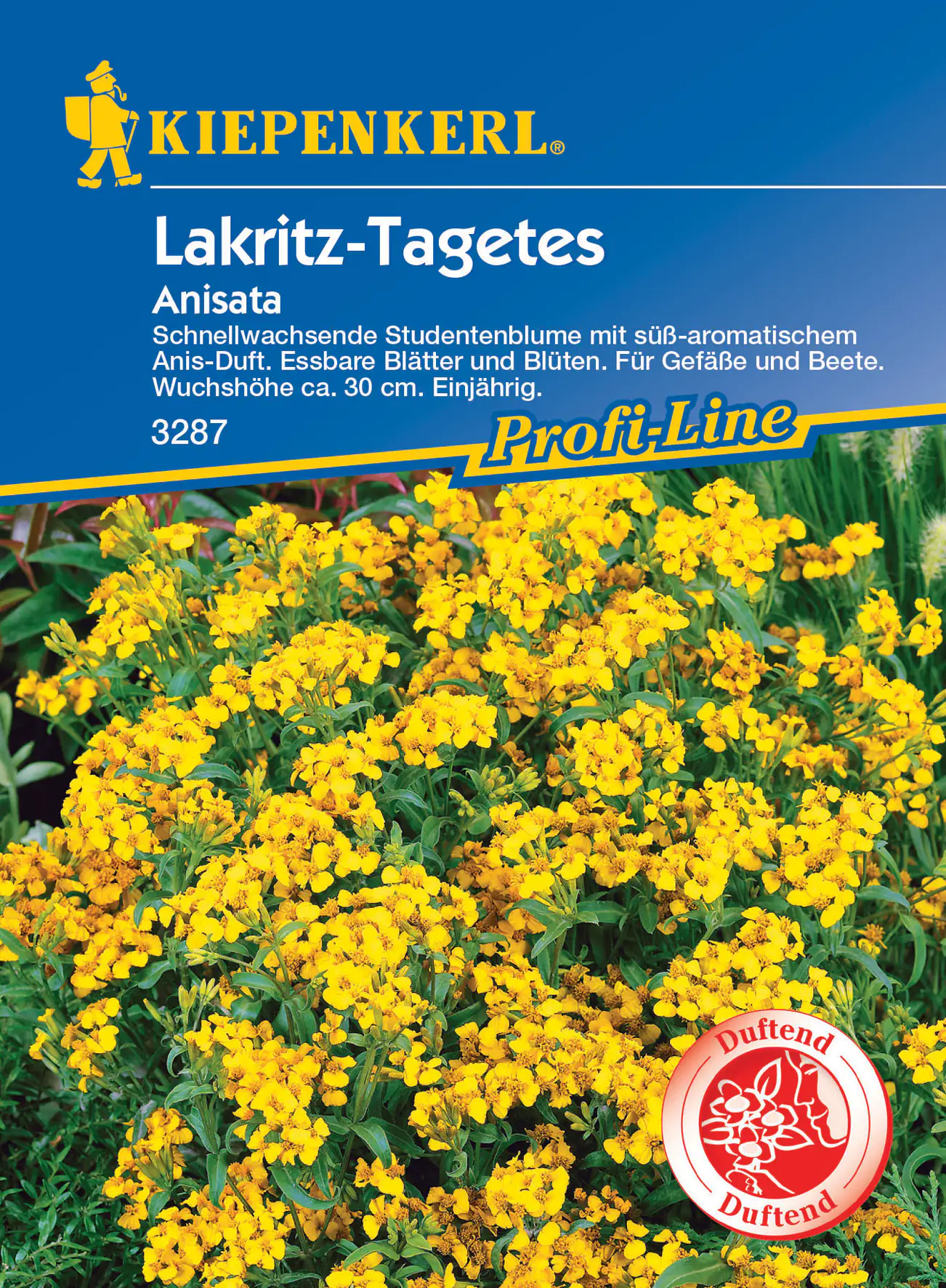 Kiepenkerl Lakritz-Tagetes Anisata