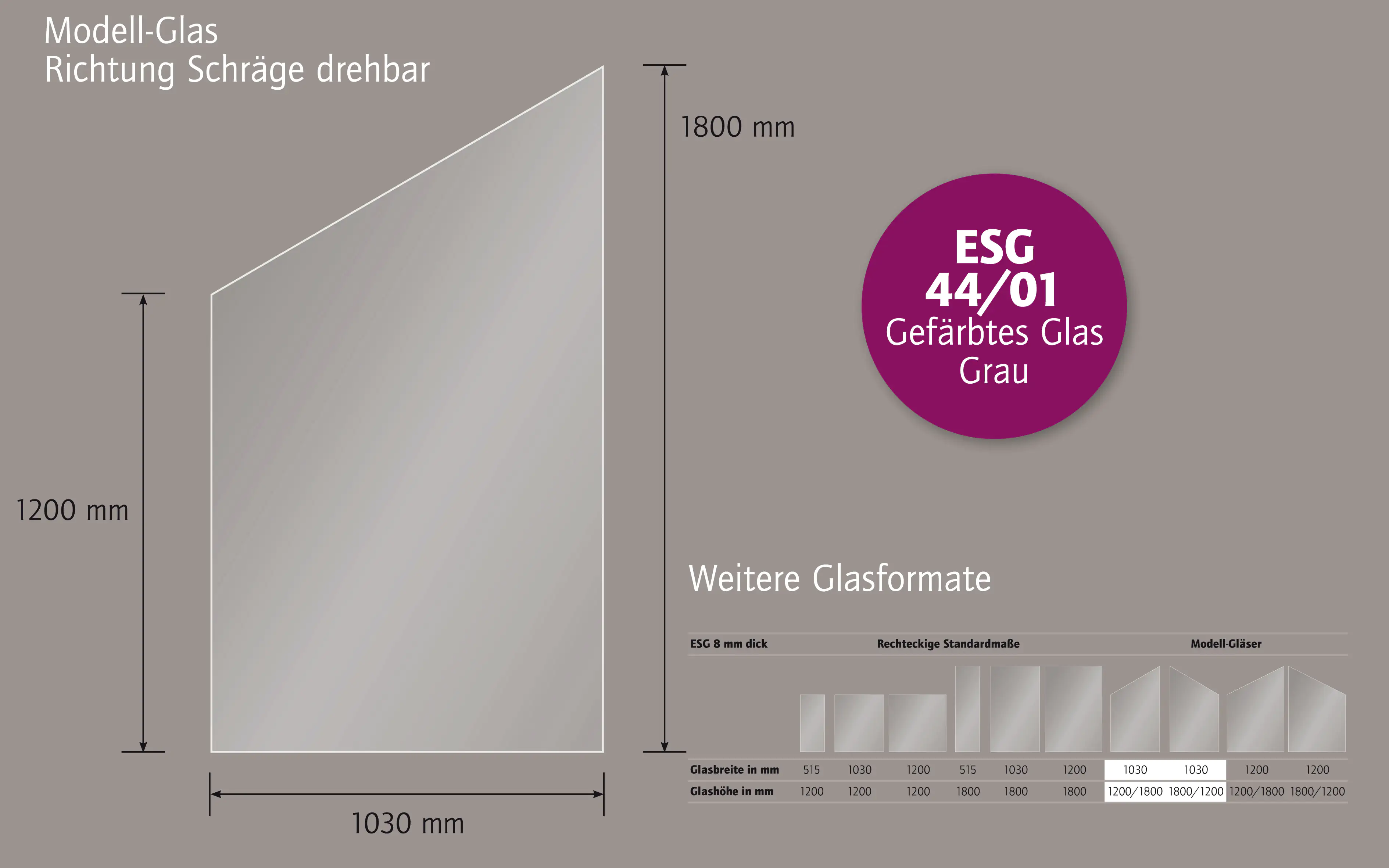Ambiente Glaszaun schräg B: 103 x H: L 120/R 180 cm, gehärtetes 8 mm Glas Ambiente Glaszaun schräg B: 103 x H: L 120/R 180 cm, gehärtetes 8 mm Glas