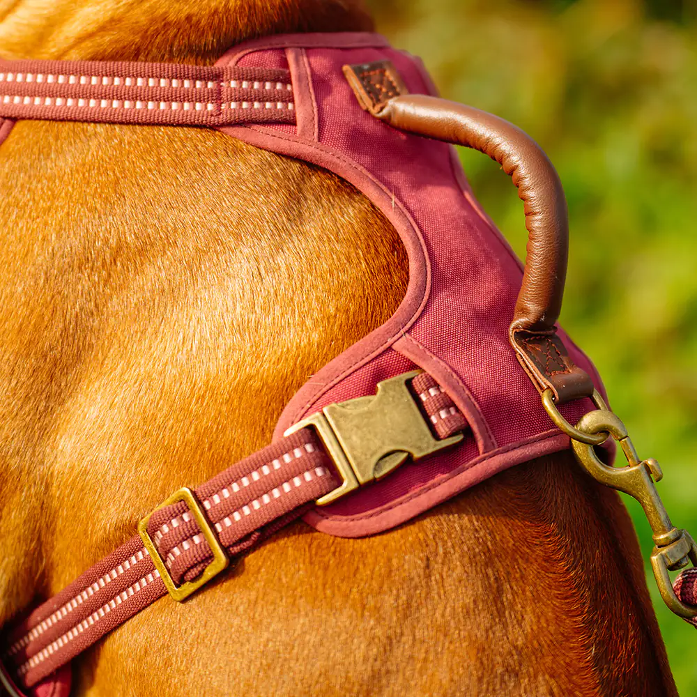 Nobby Hundegeschirr Sporty mit Griff rot Nobby Hundegeschirr Sporty mit Griff rot