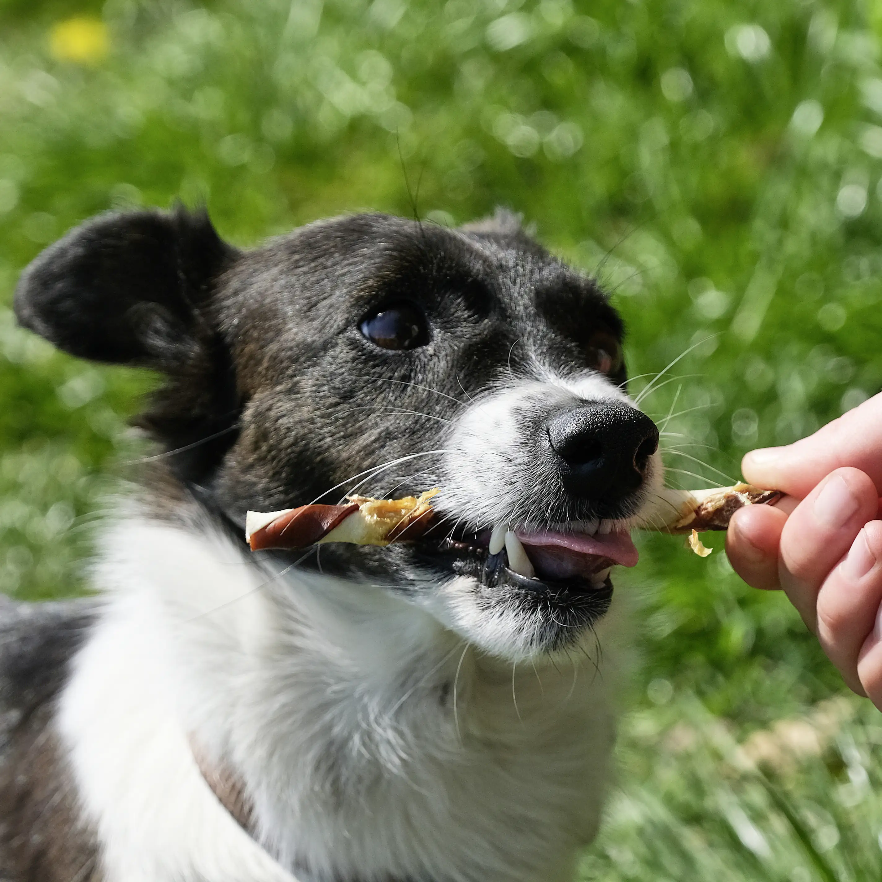 8in1 Flavours Kaustange Triple Flavour Twists 113 g