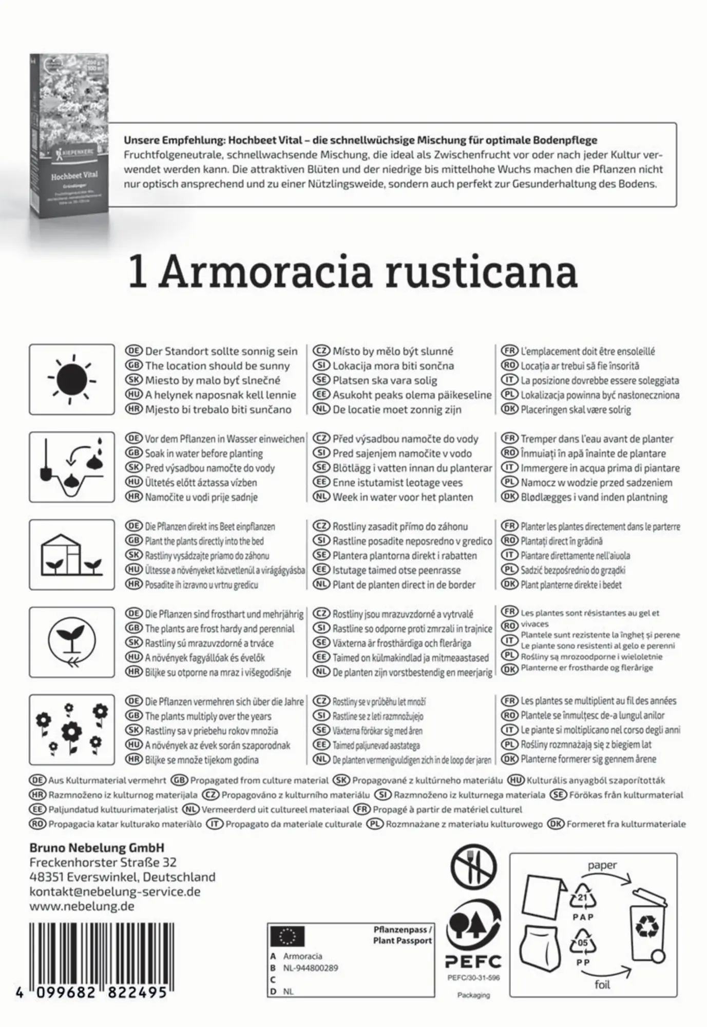 Kiepenkerl Pflanzgut Meerrettich Armoracia rusticana 1 Stück