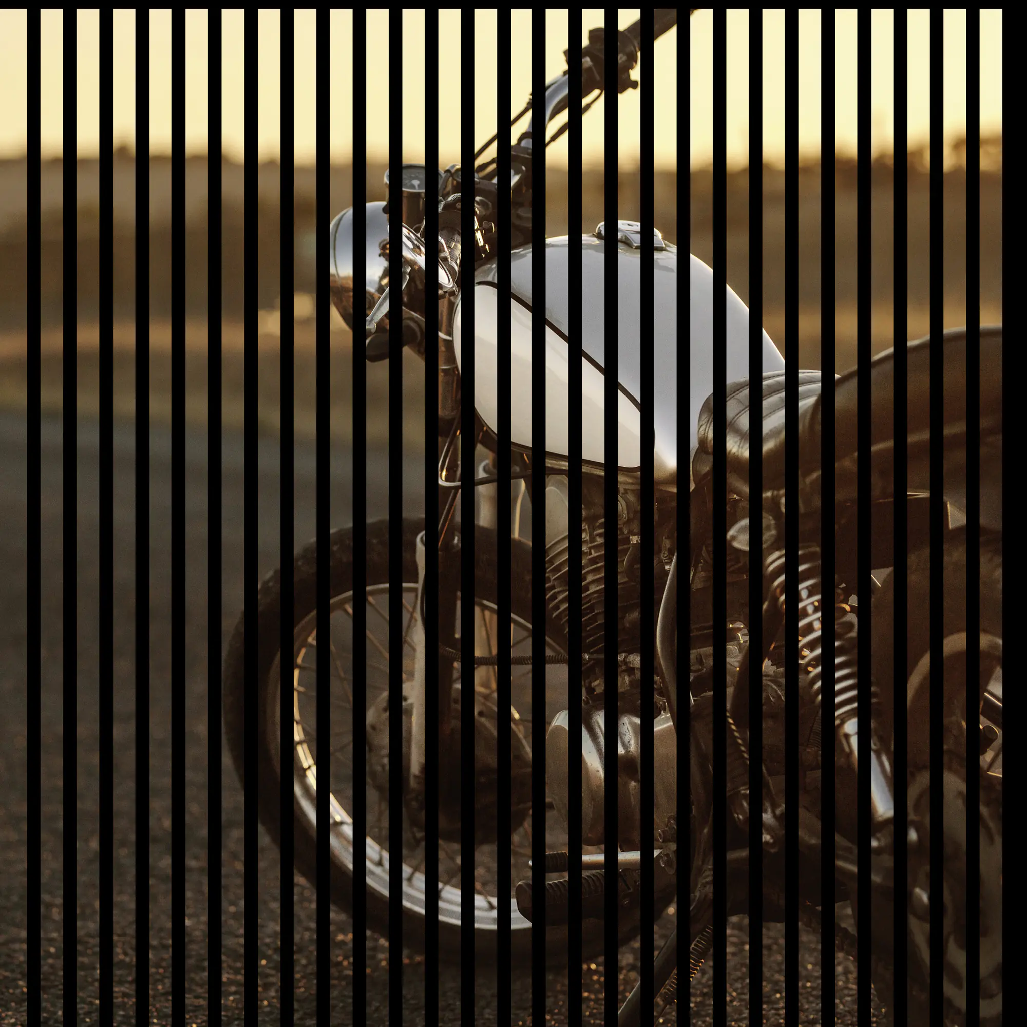 Neuhofer Akustikpaneele Motorrad 119,5 x 113,3 x 1,9 cm